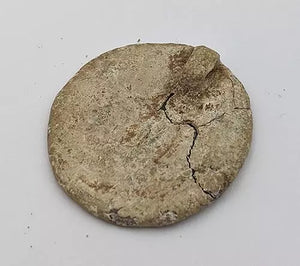 RARE 13TH / 14TH Century Medievel Fleur-De-Lis and intaglio Letter Seal