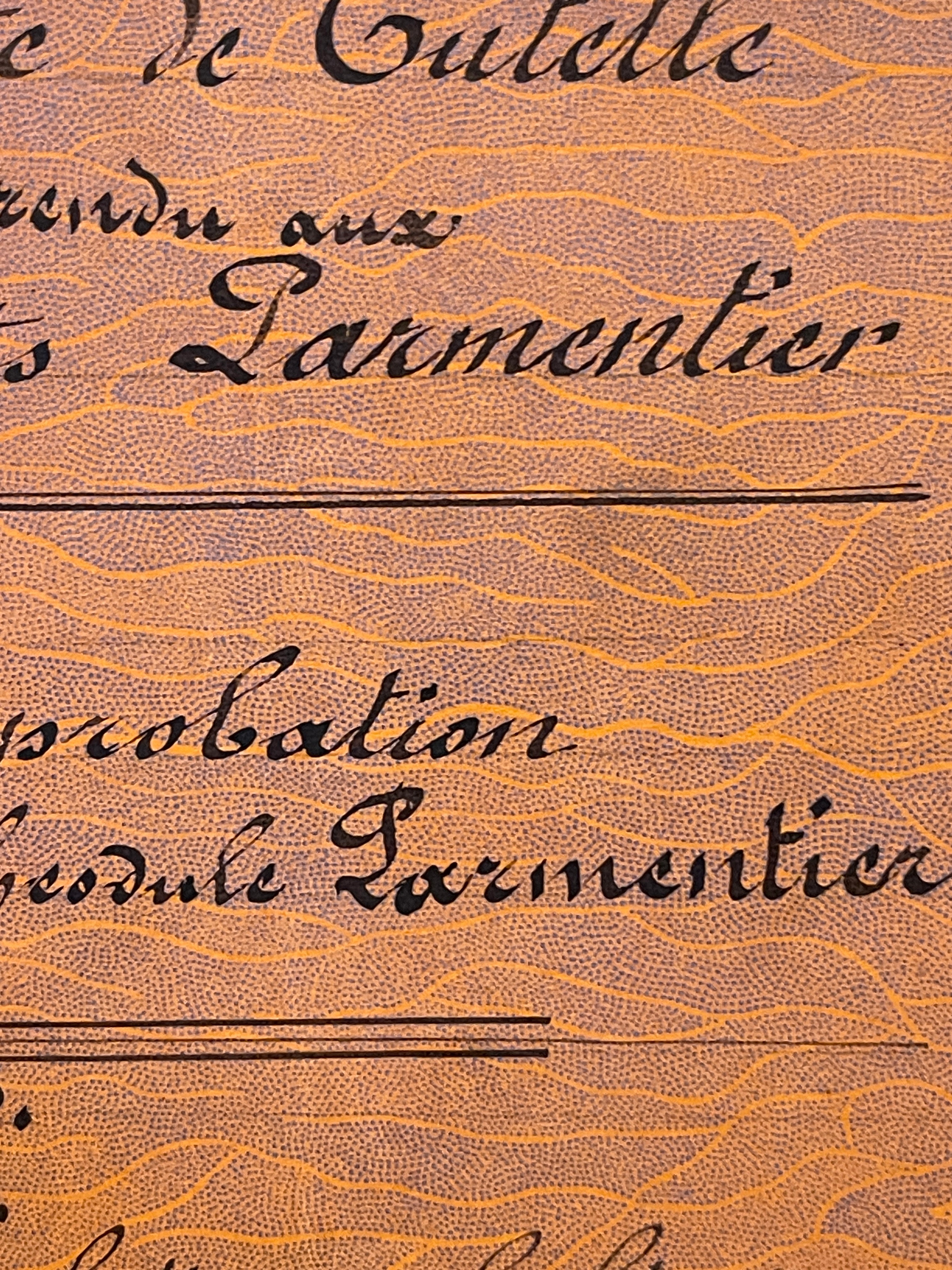 Antique 1895 French Calligraphy Pages in Original folder/notebook
