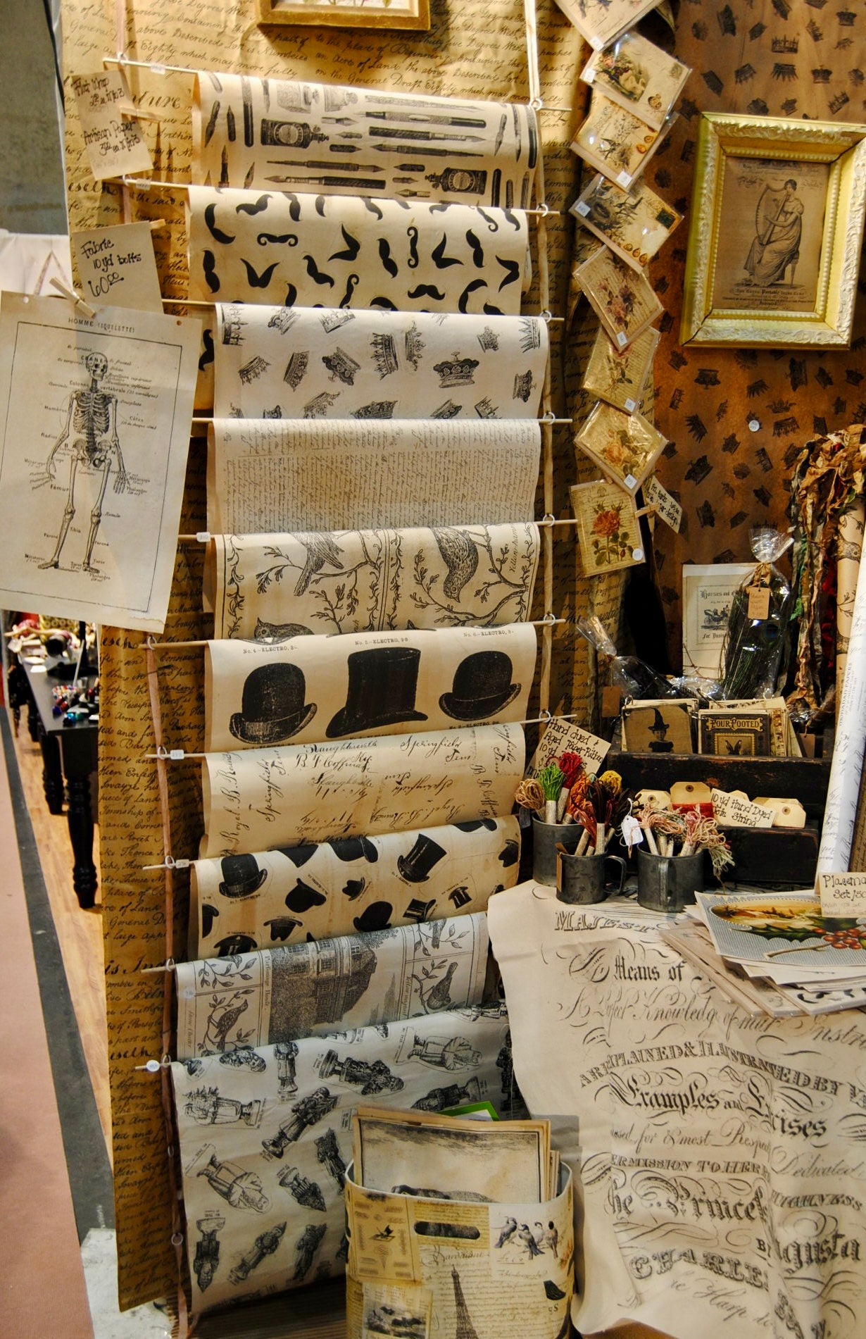 Reship shelly dippel