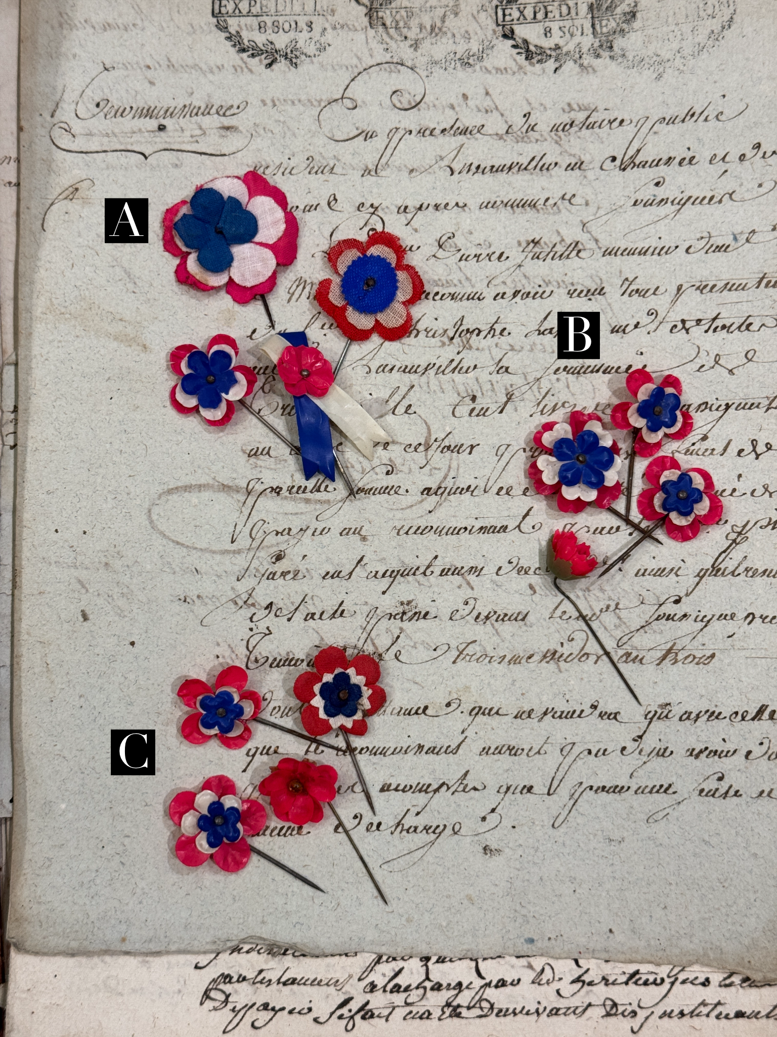 Assorted Conscrits From France