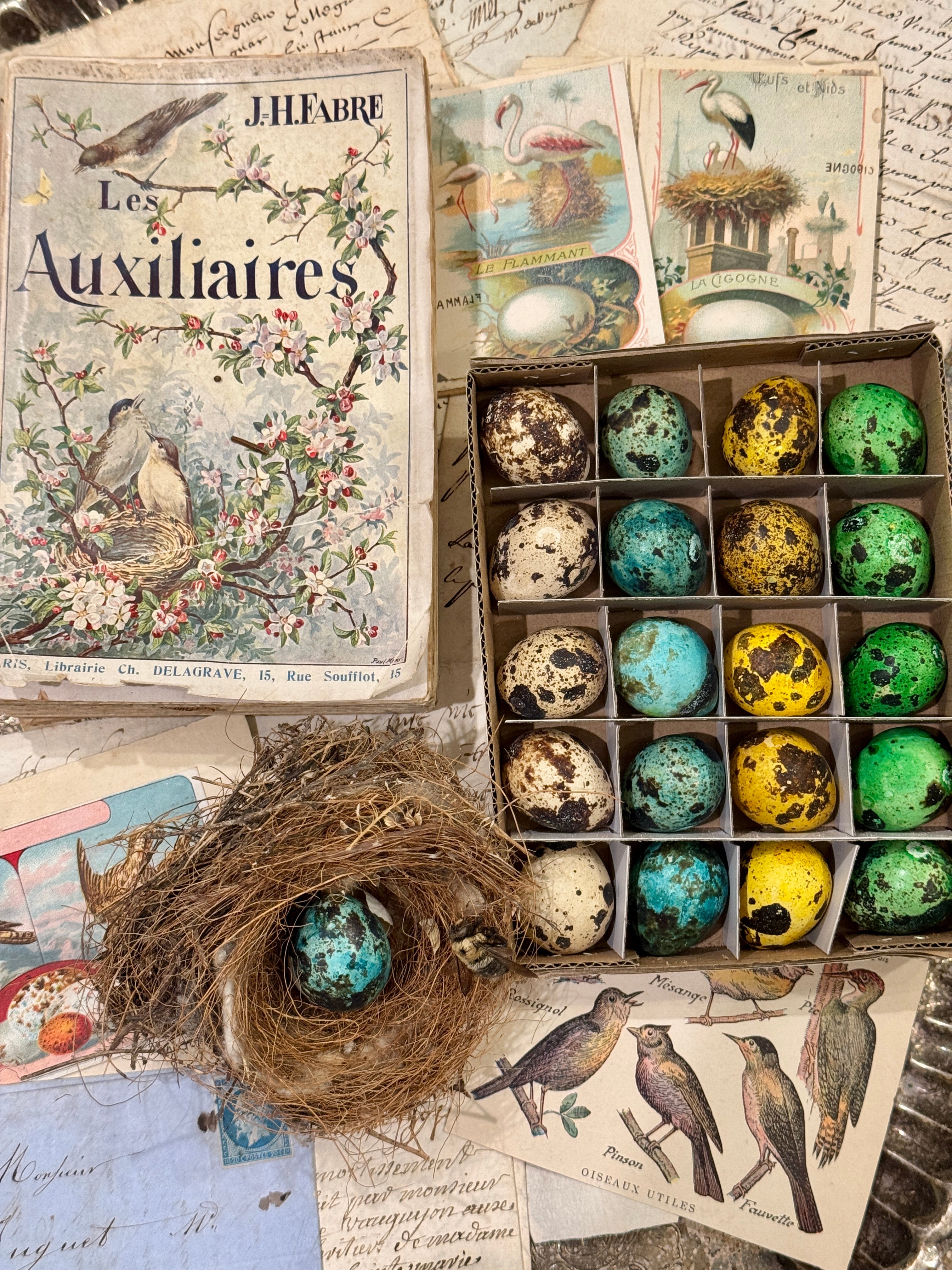 Set of 20 colored Decorative Quail Eggs