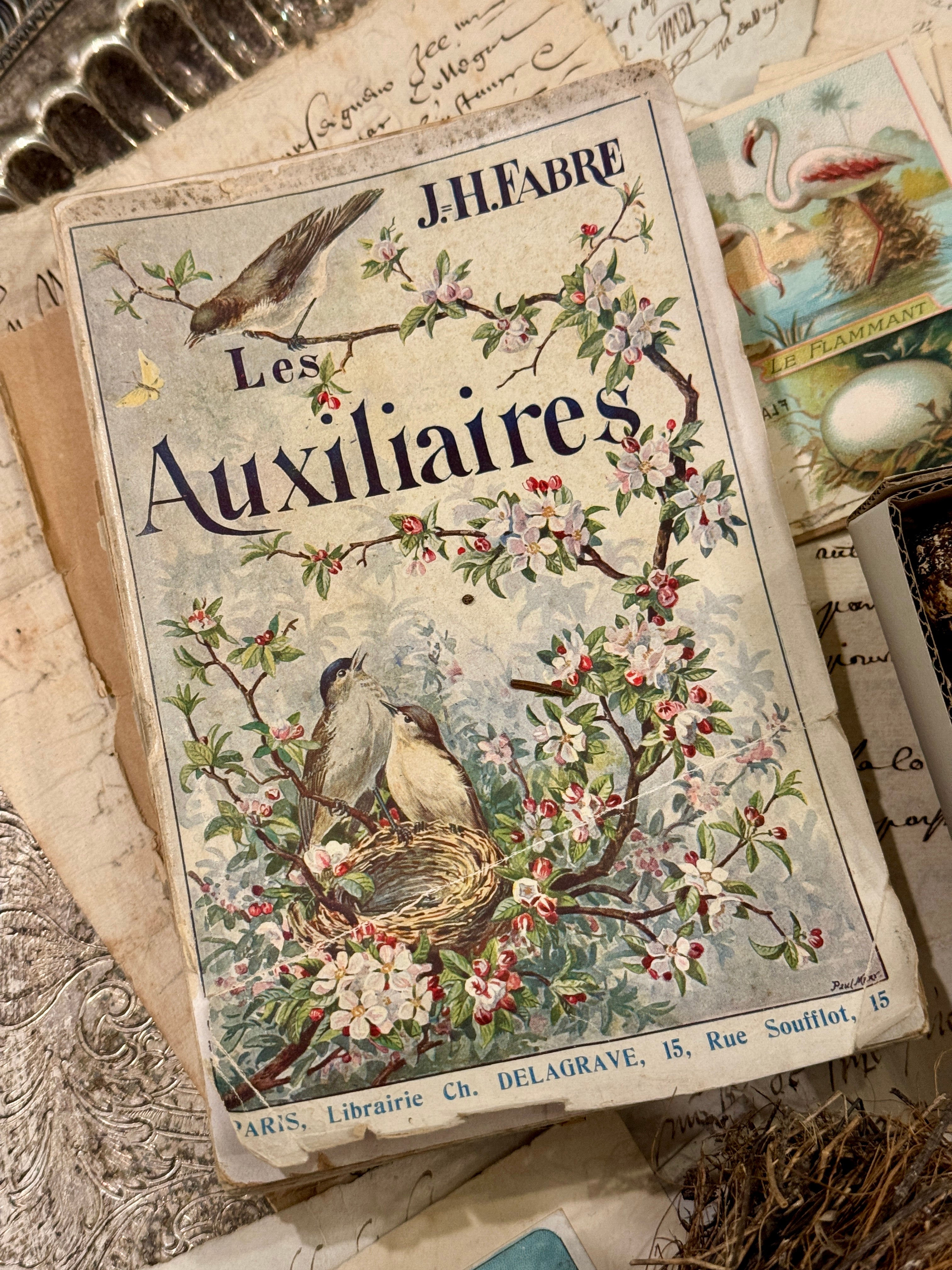 Les Auxiliaires By J.H. FABRE