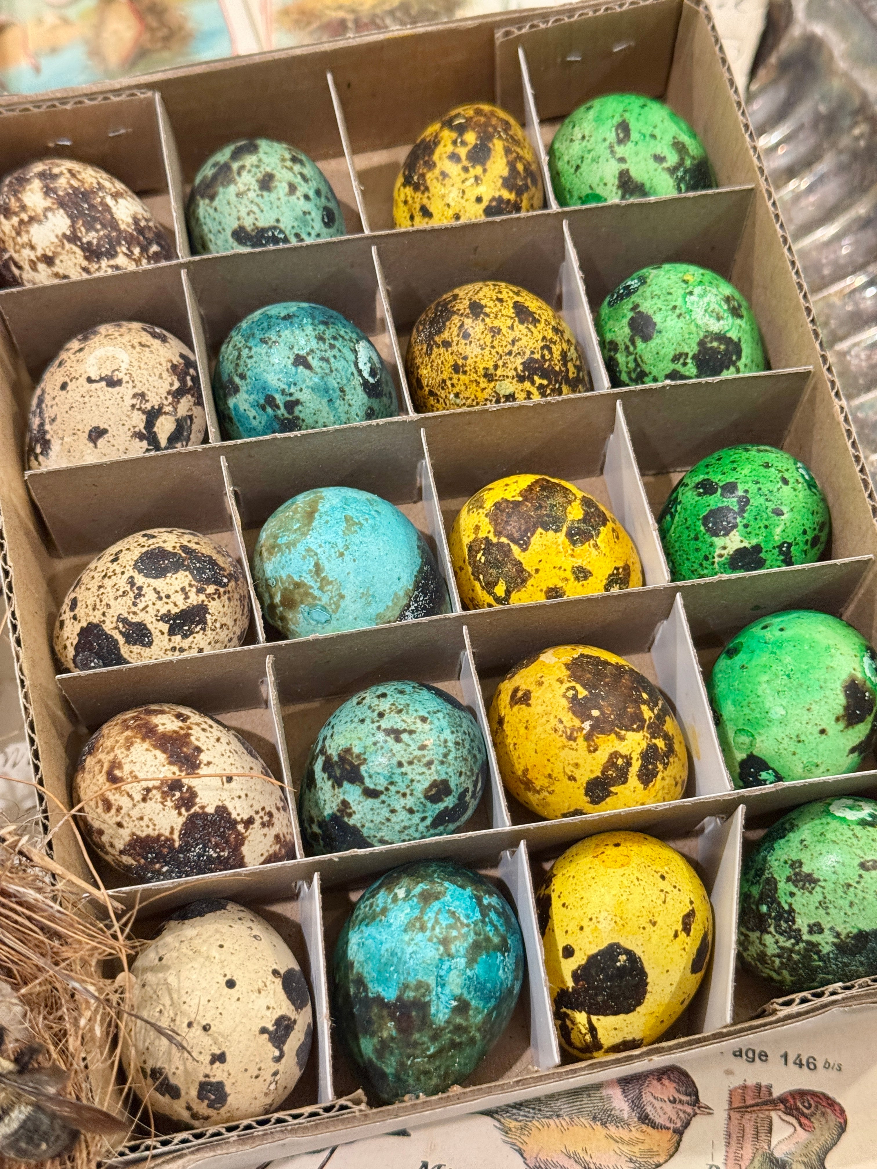 Set of 20 colored Decorative Quail Eggs