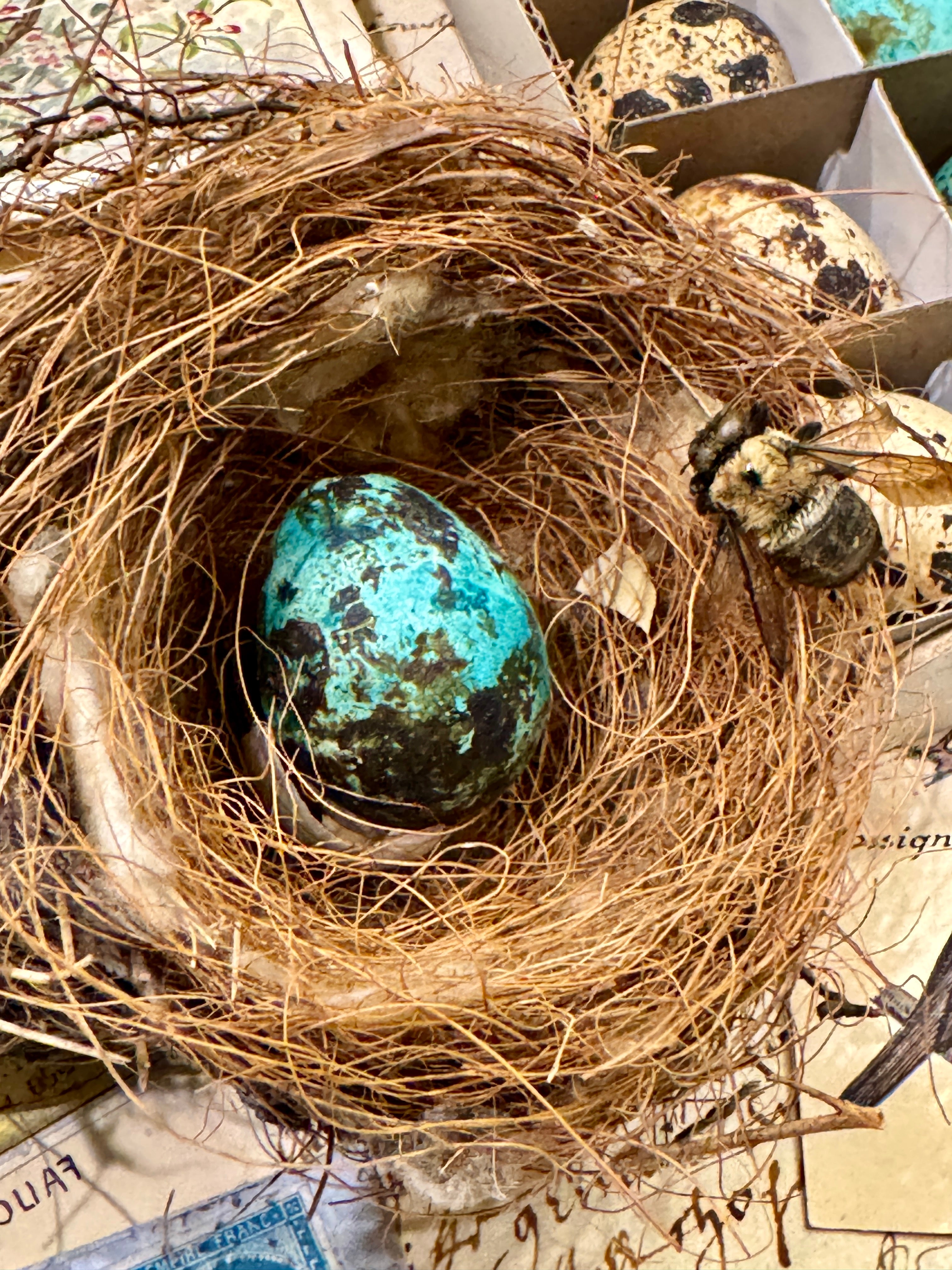 Set of 20 colored Decorative Quail Eggs