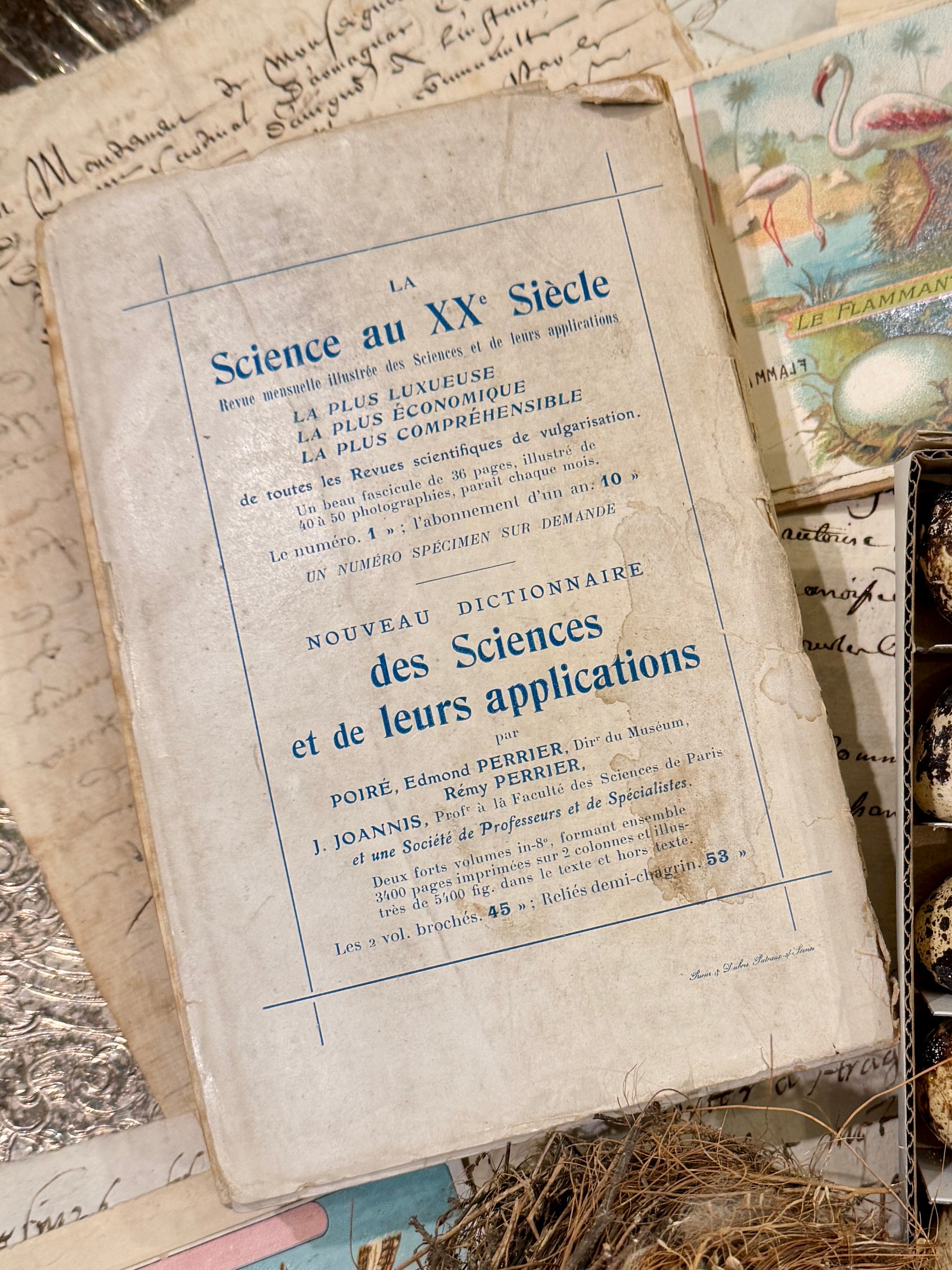 Set of 20 colored Decorative Quail Eggs