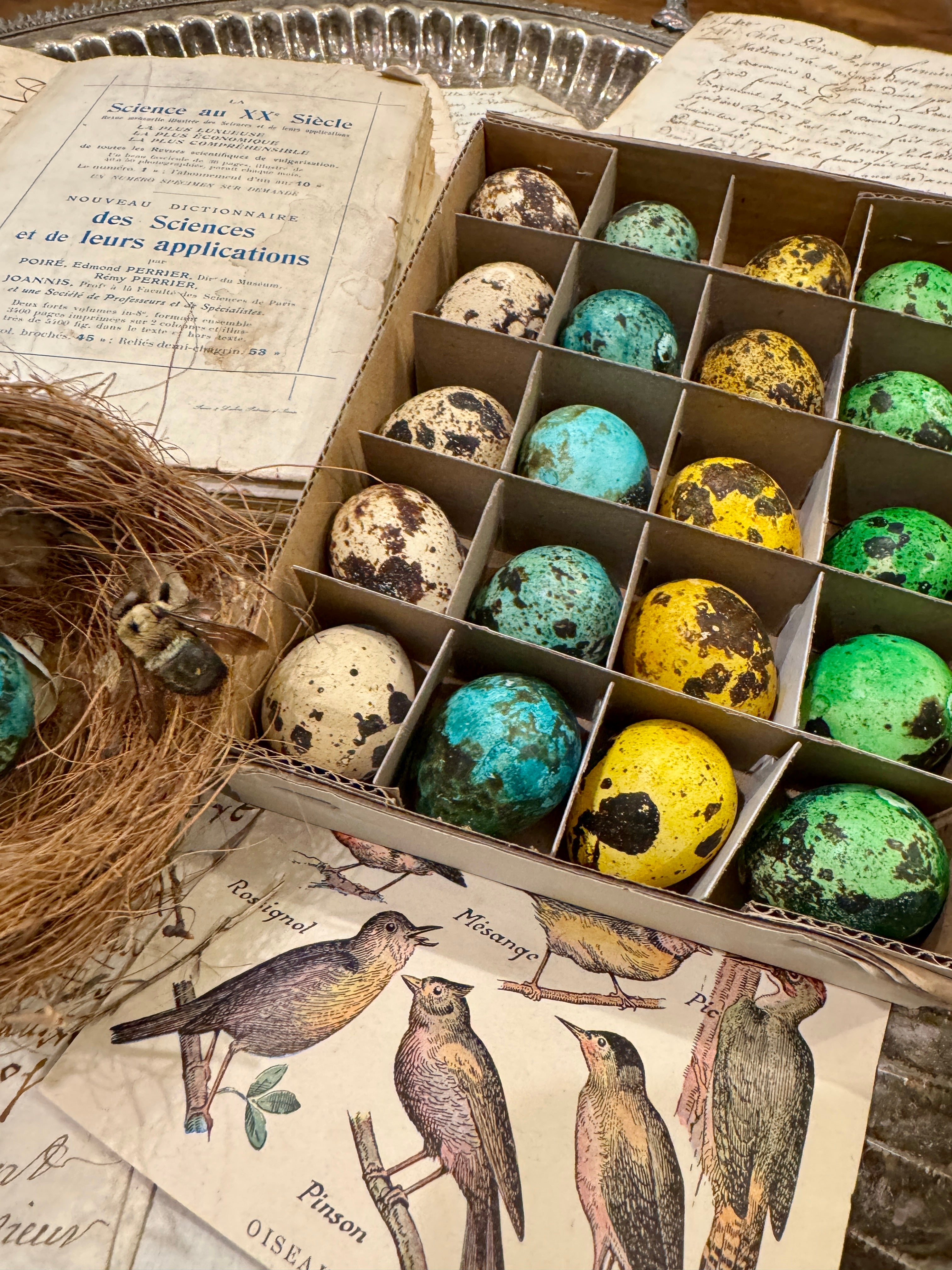 Set of 20 colored Decorative Quail Eggs