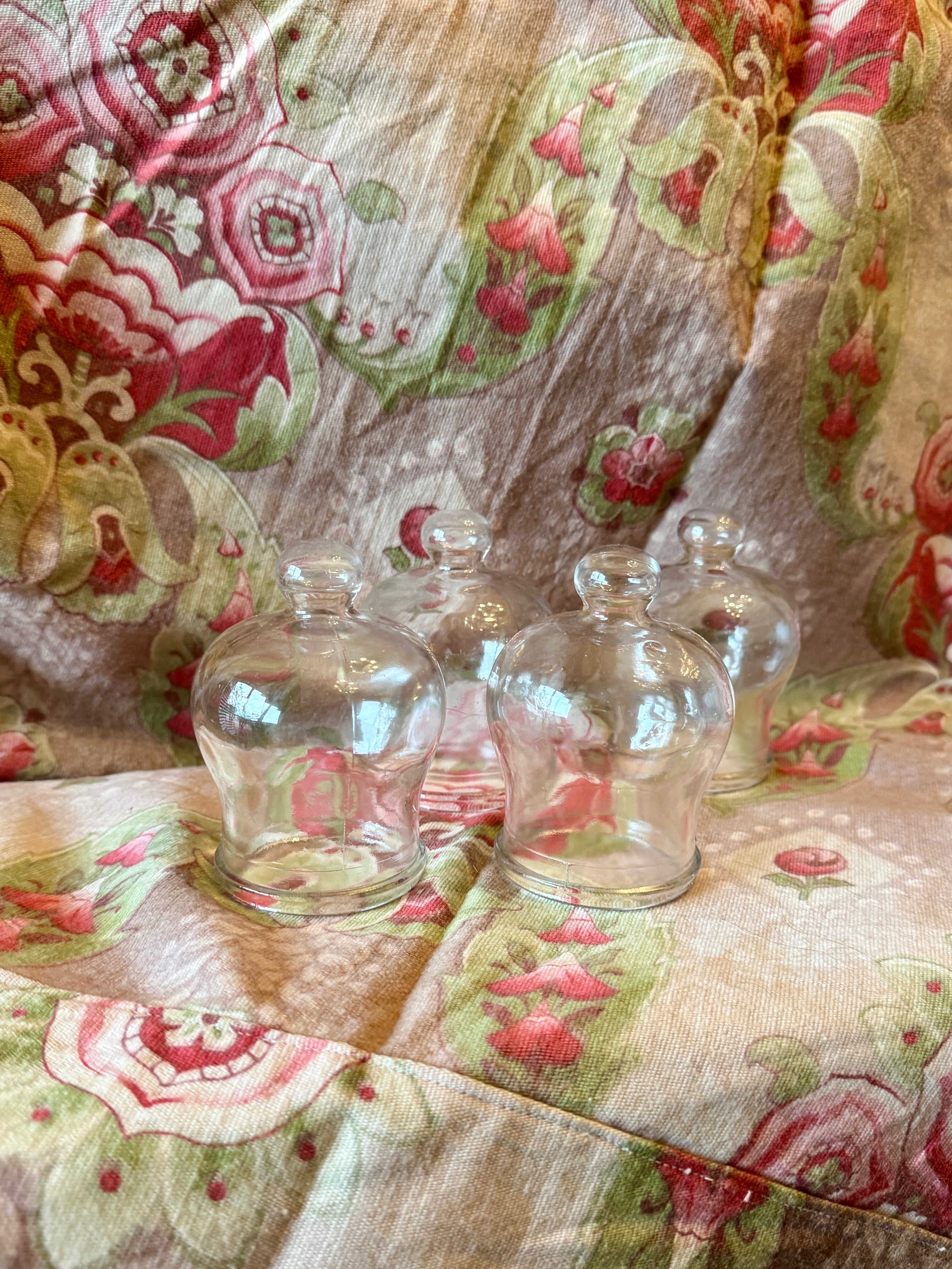 1800s Antique French Glass Domes