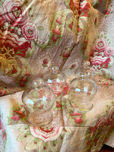 1800s Antique French Glass Domes