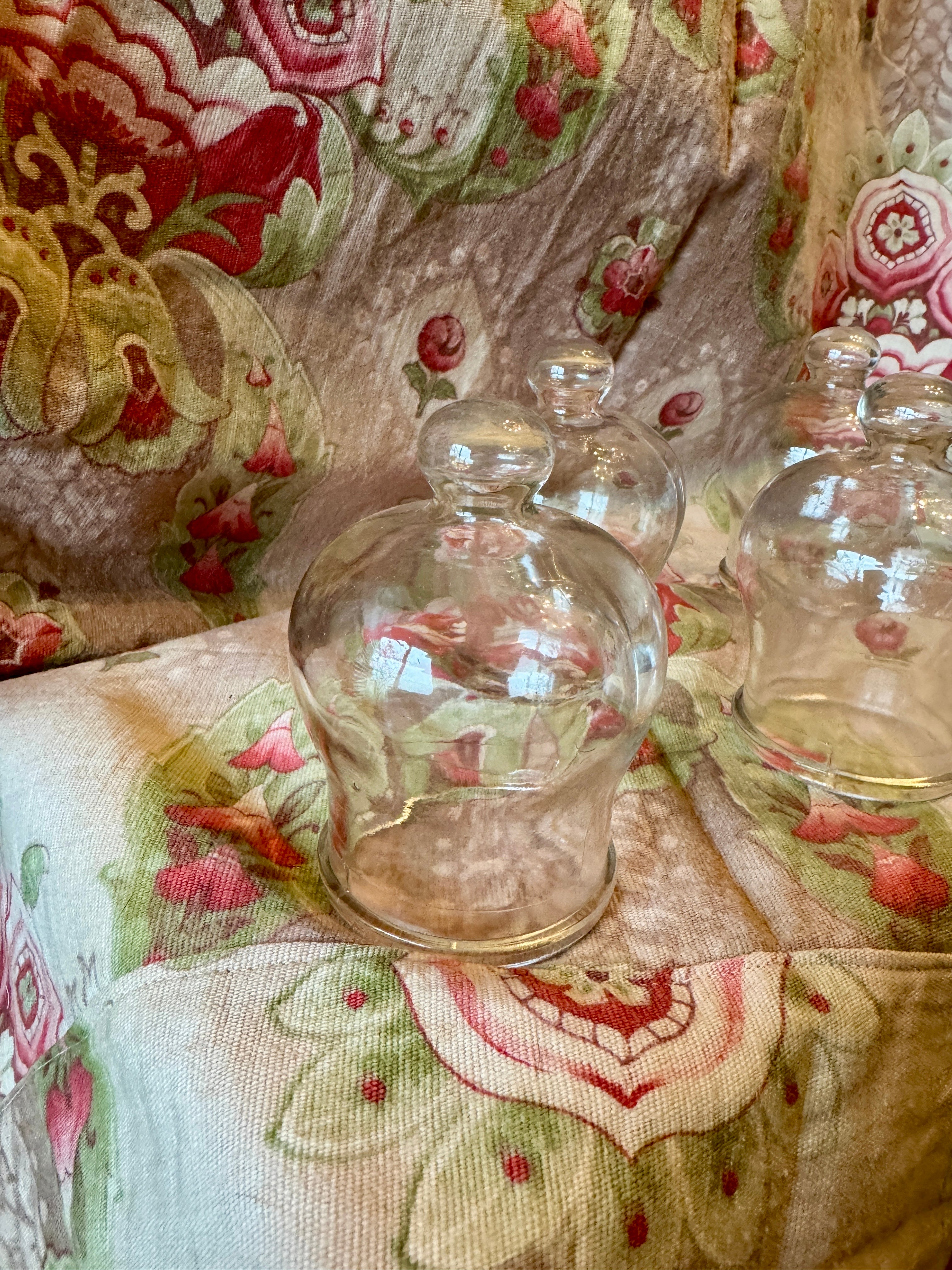 1800s Antique French Glass Domes