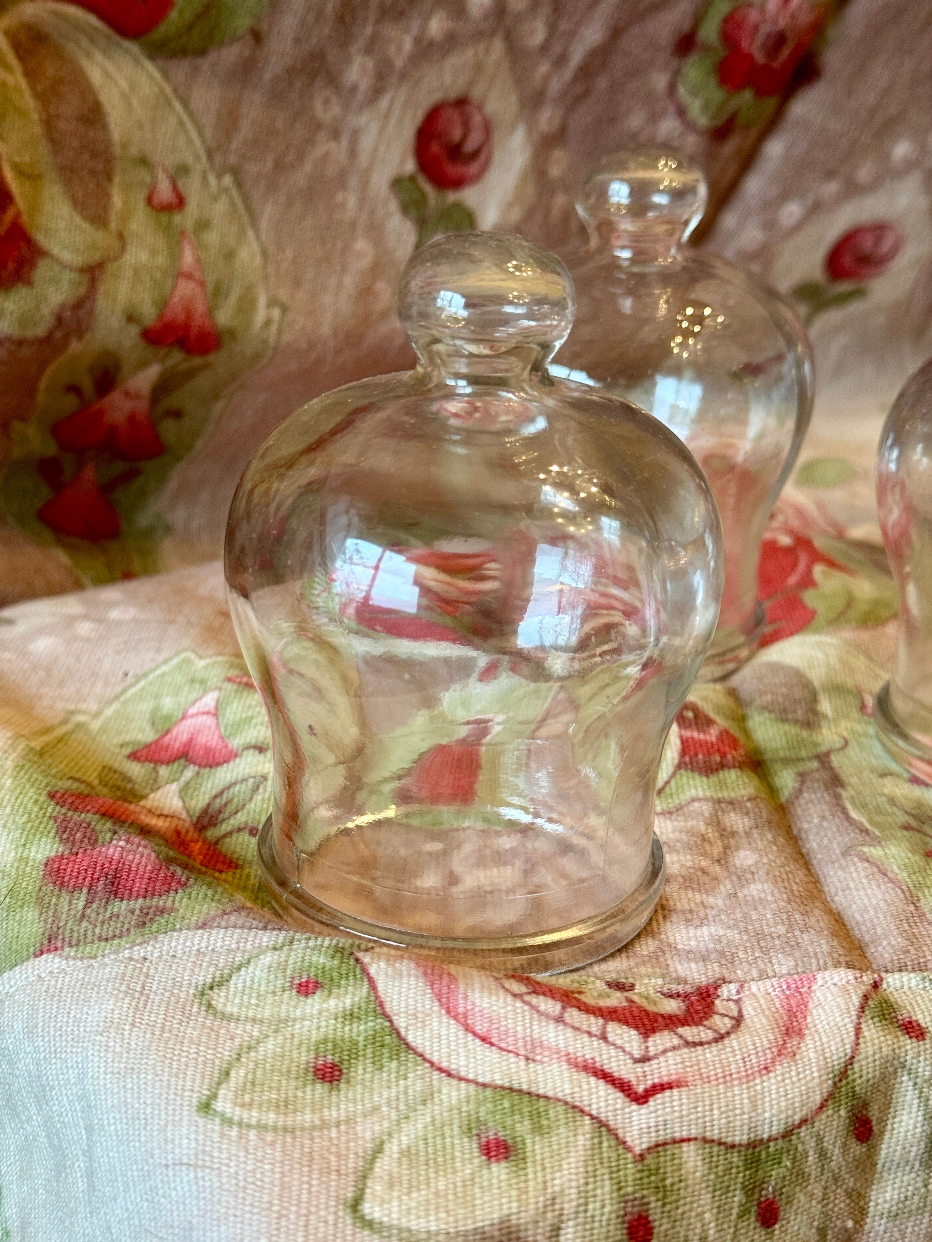 1800s Antique French Glass Domes