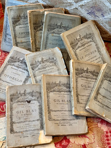 Antique French Blue Deckled Edge Books
