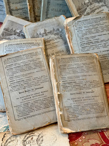 Antique French Blue Deckled Edge Books