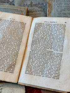 Antique French Blue Deckled Edge Books