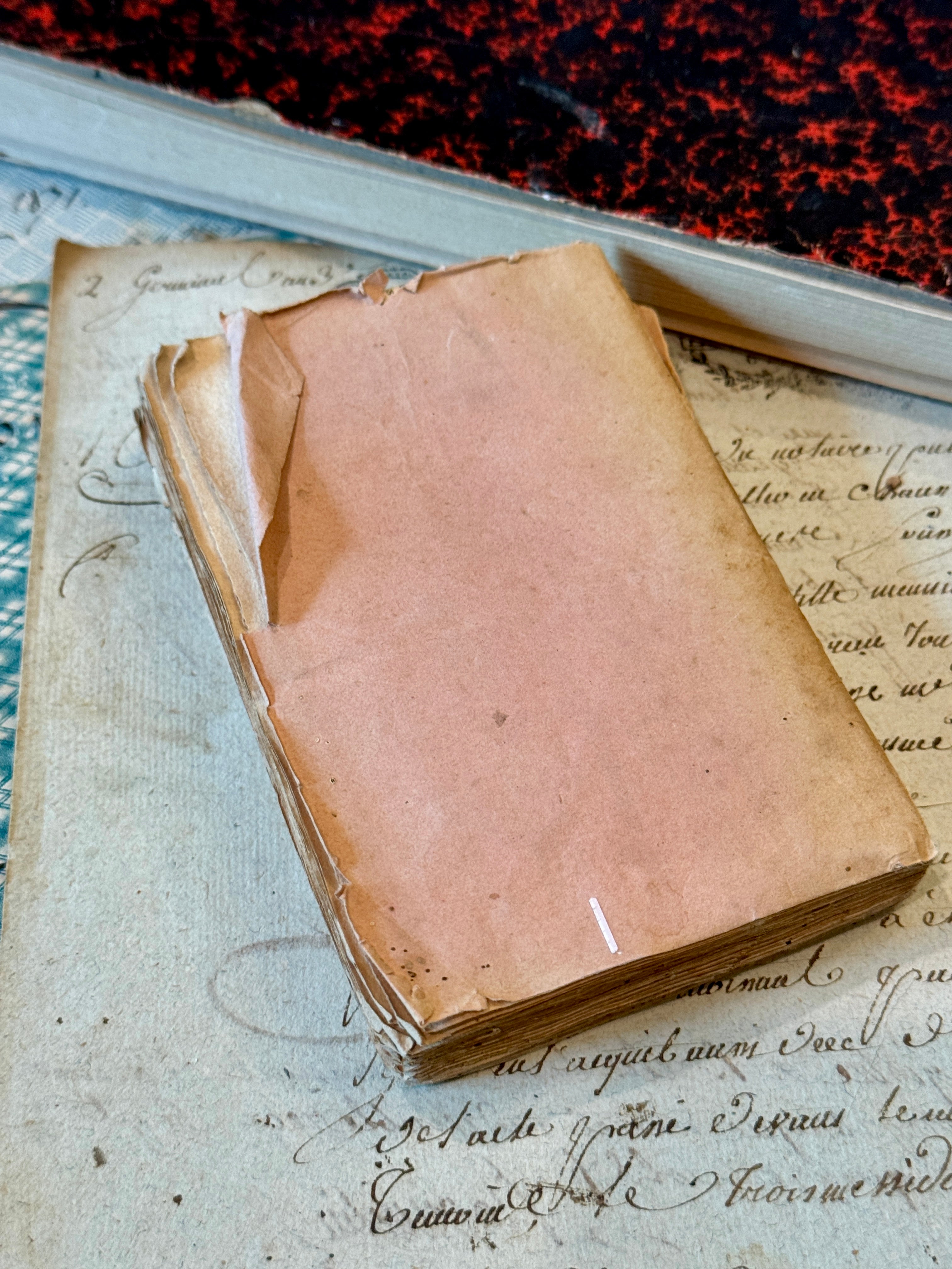 Darling Antique Pink Deckled Edge French Book
