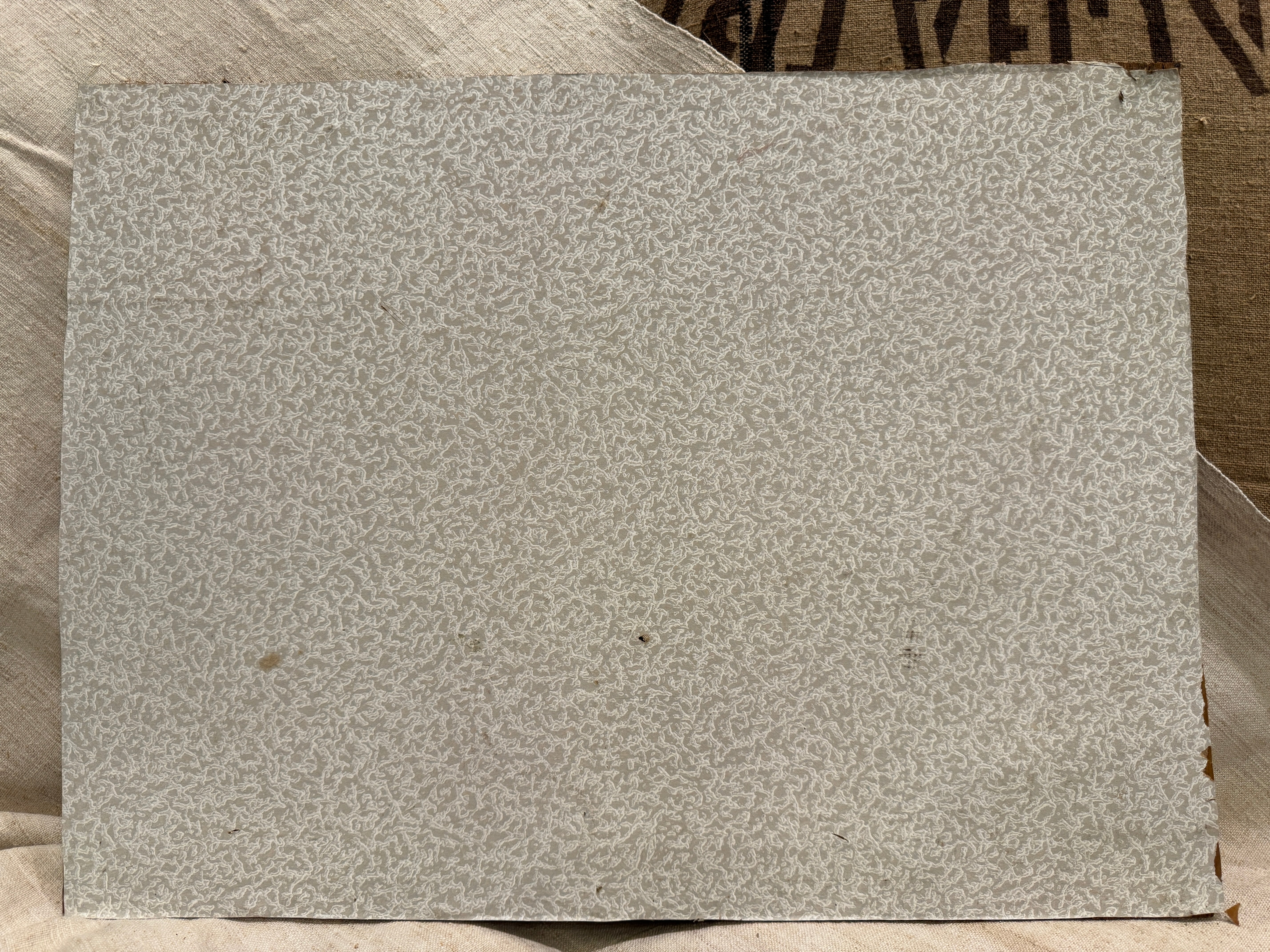 Antique French Botanical Painting