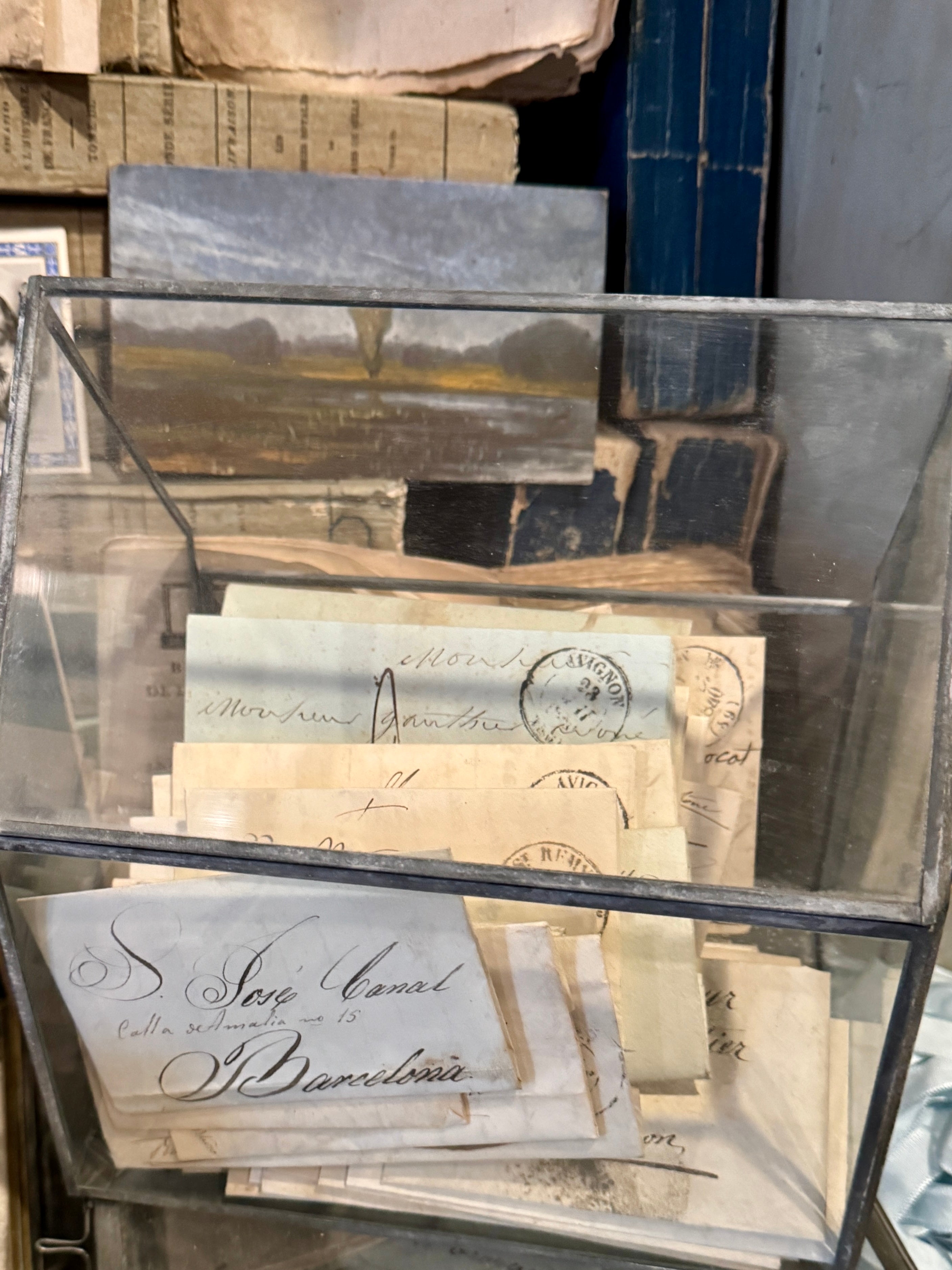 Cottage Terrarium Glass Display Case