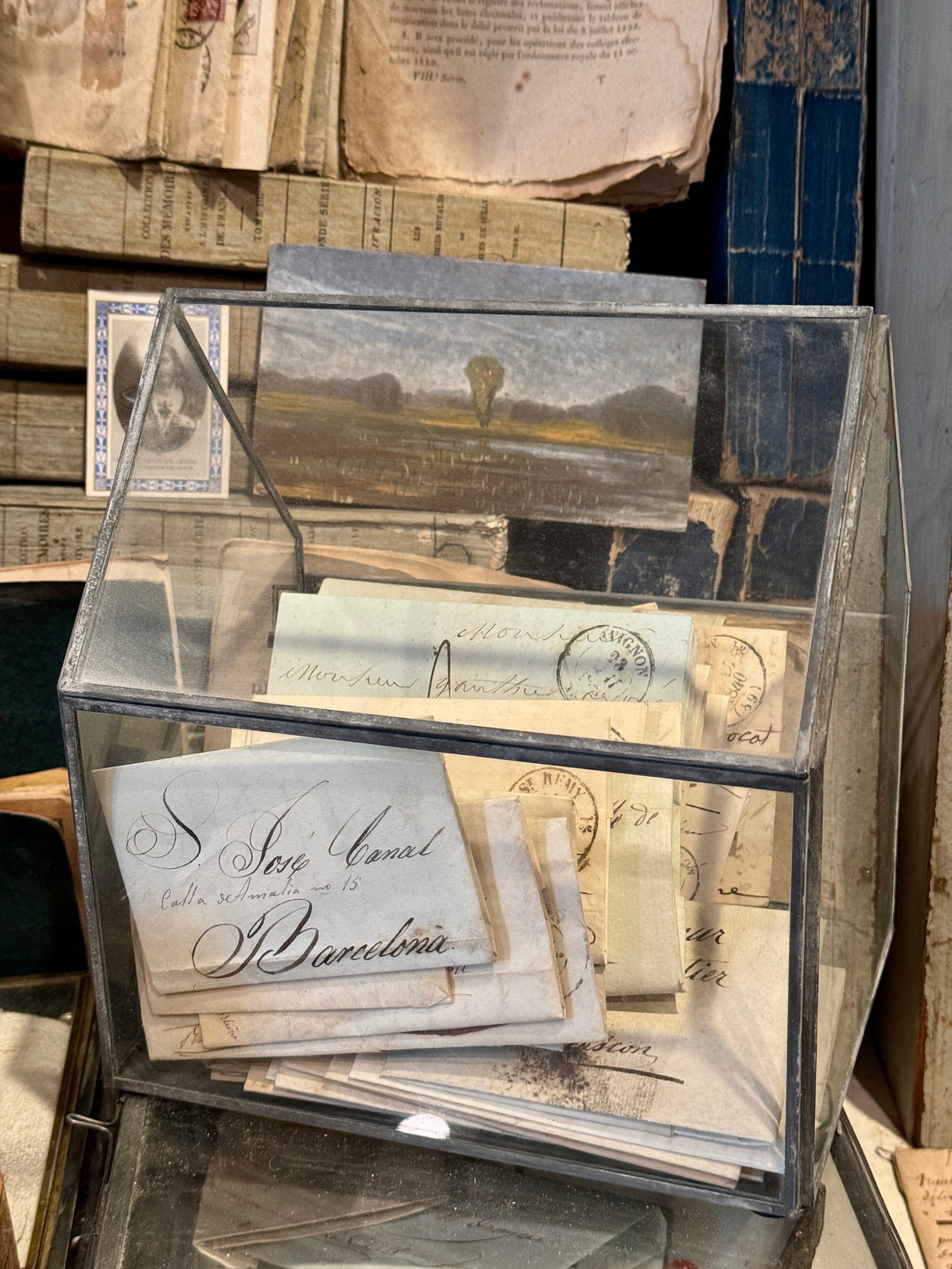 Cottage Terrarium Glass Display Case