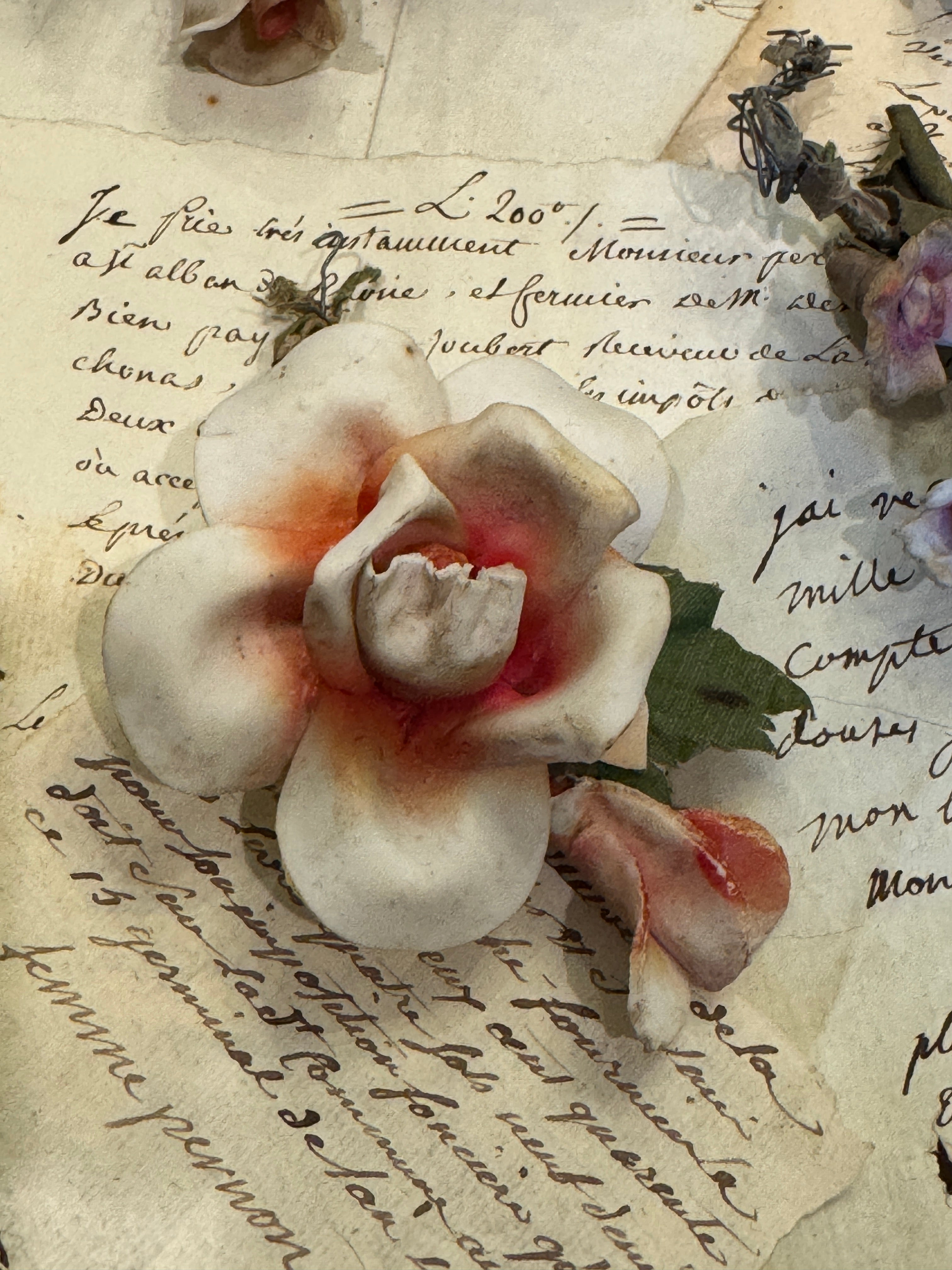 Antique French Porcelain Bisque Flowers - Napoleon III