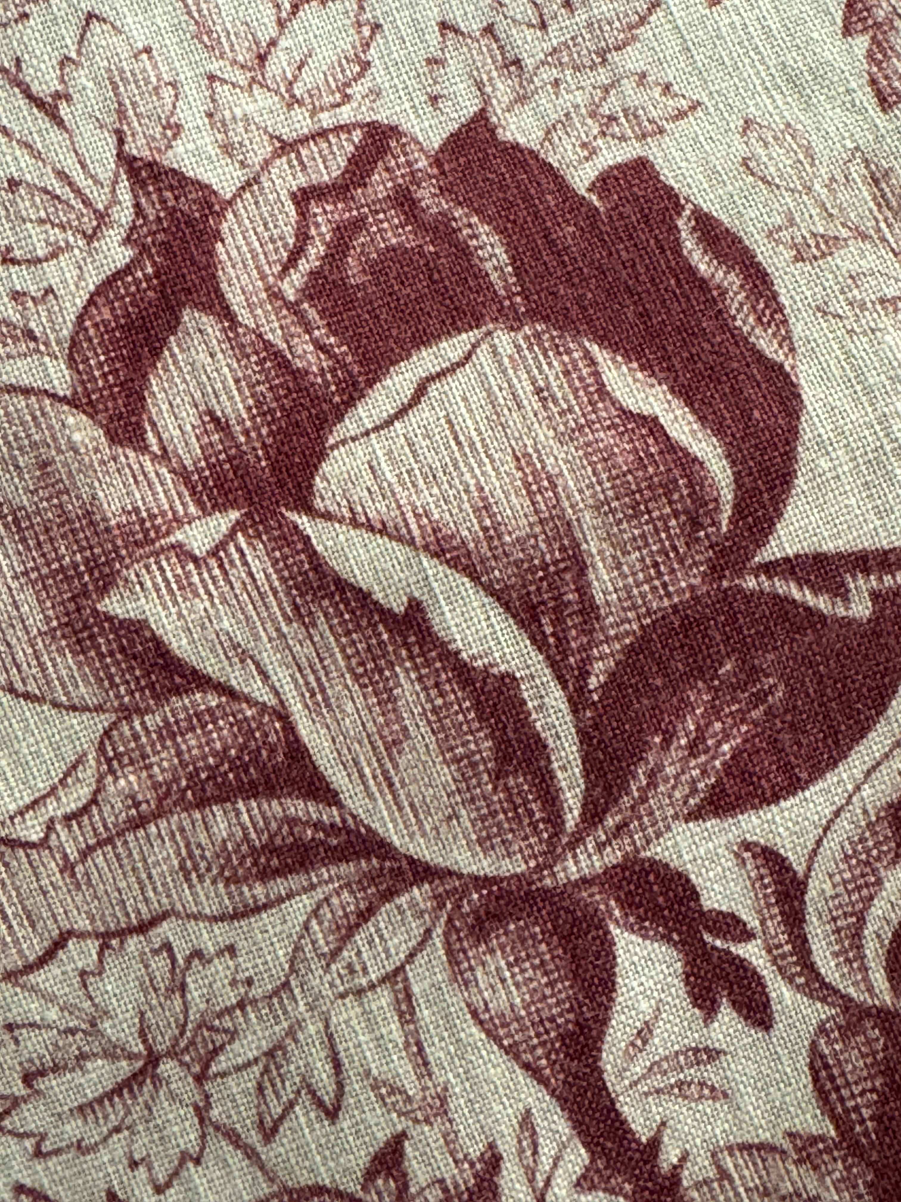 Antique 1800s French Printed Cotton *