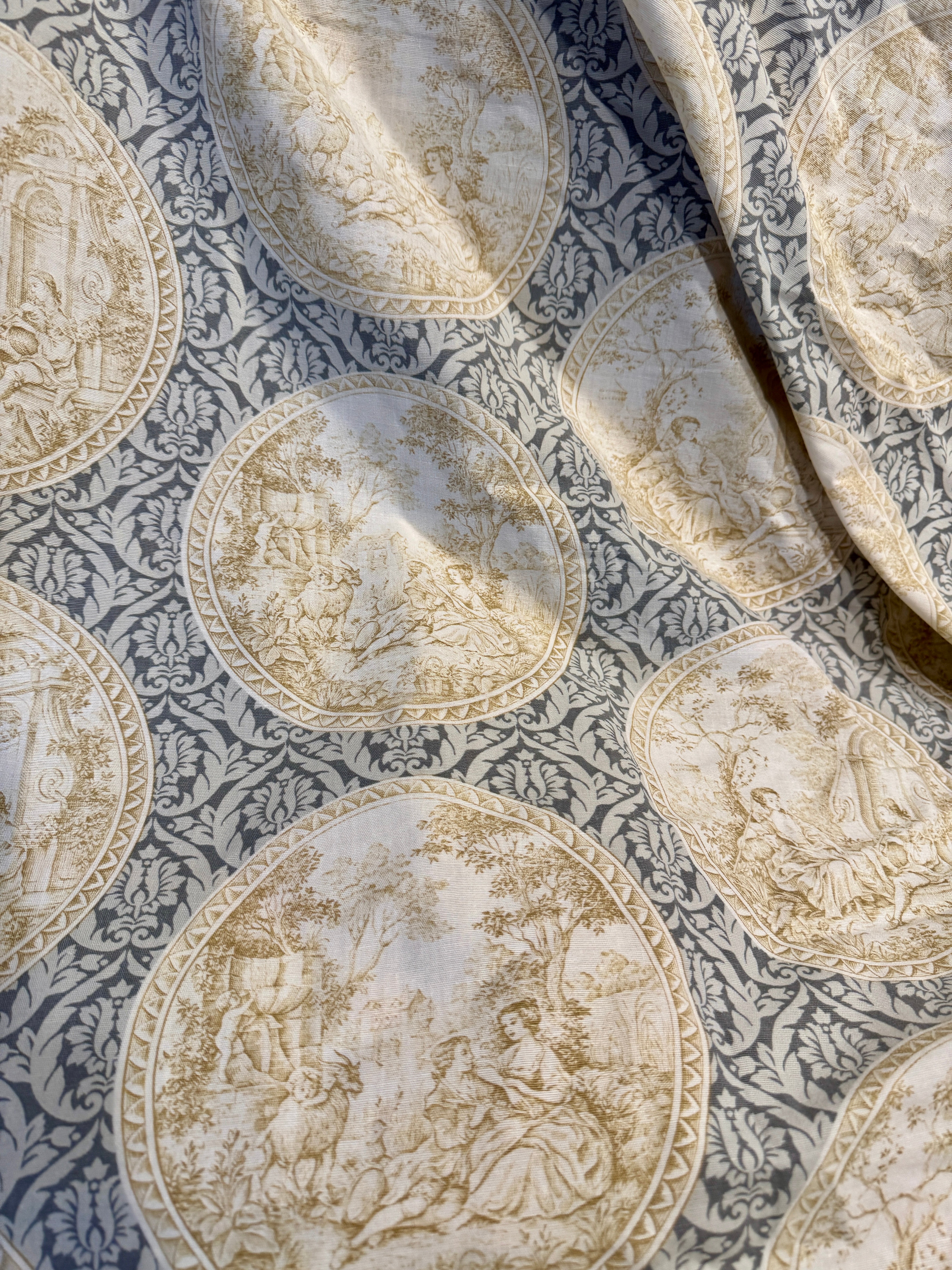 Antique 1800s French Toile *