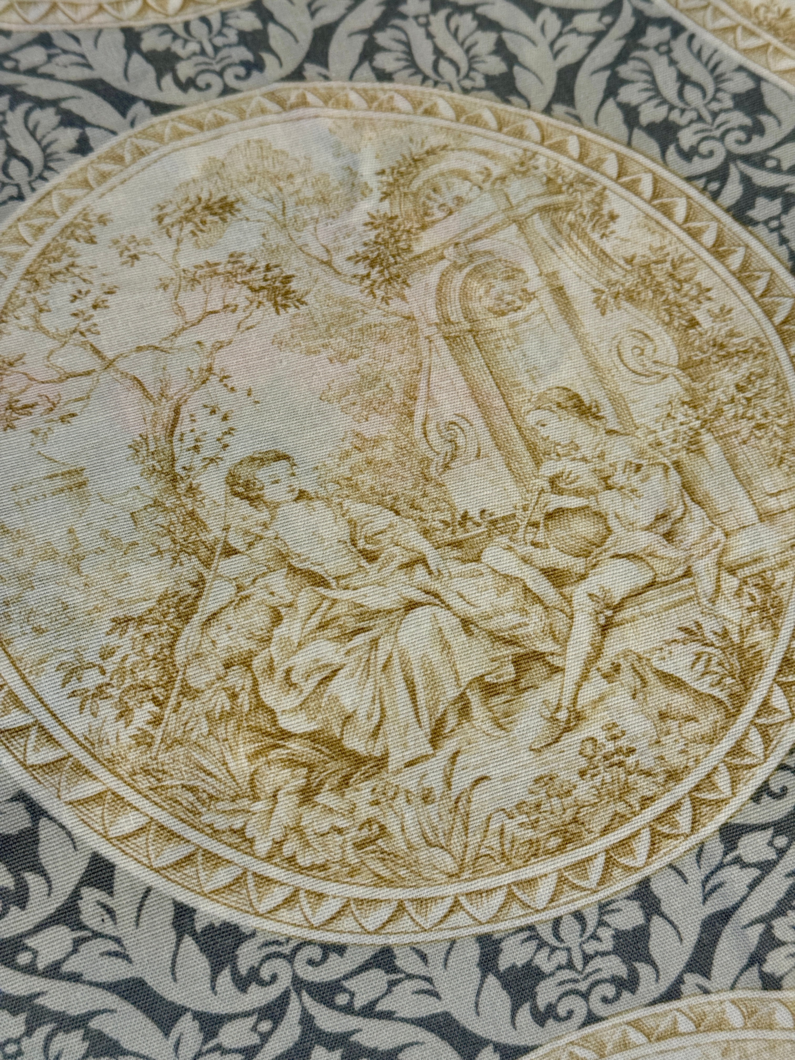 Antique 1800s French Toile *