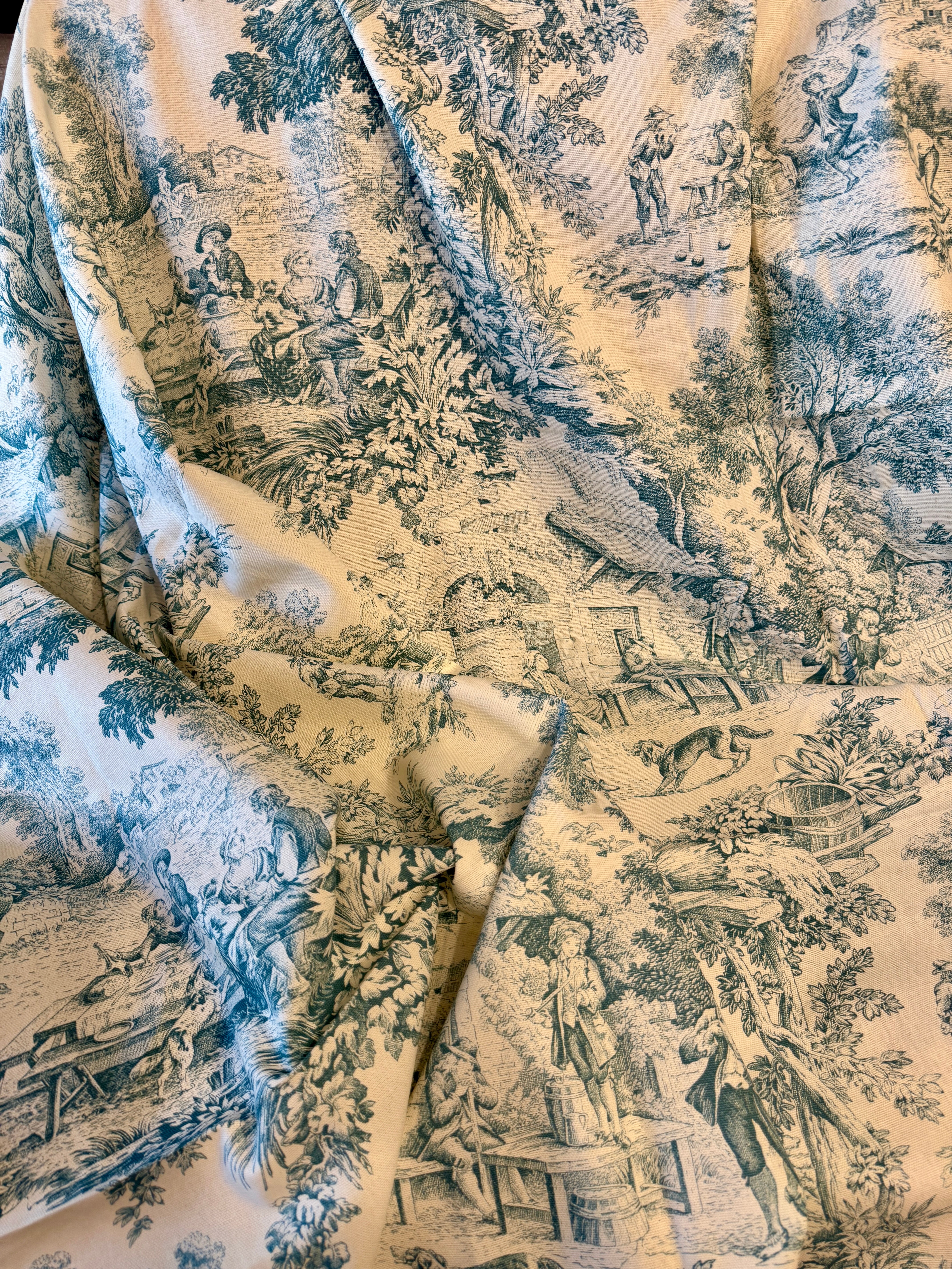 Vintage French Champetre Toile *