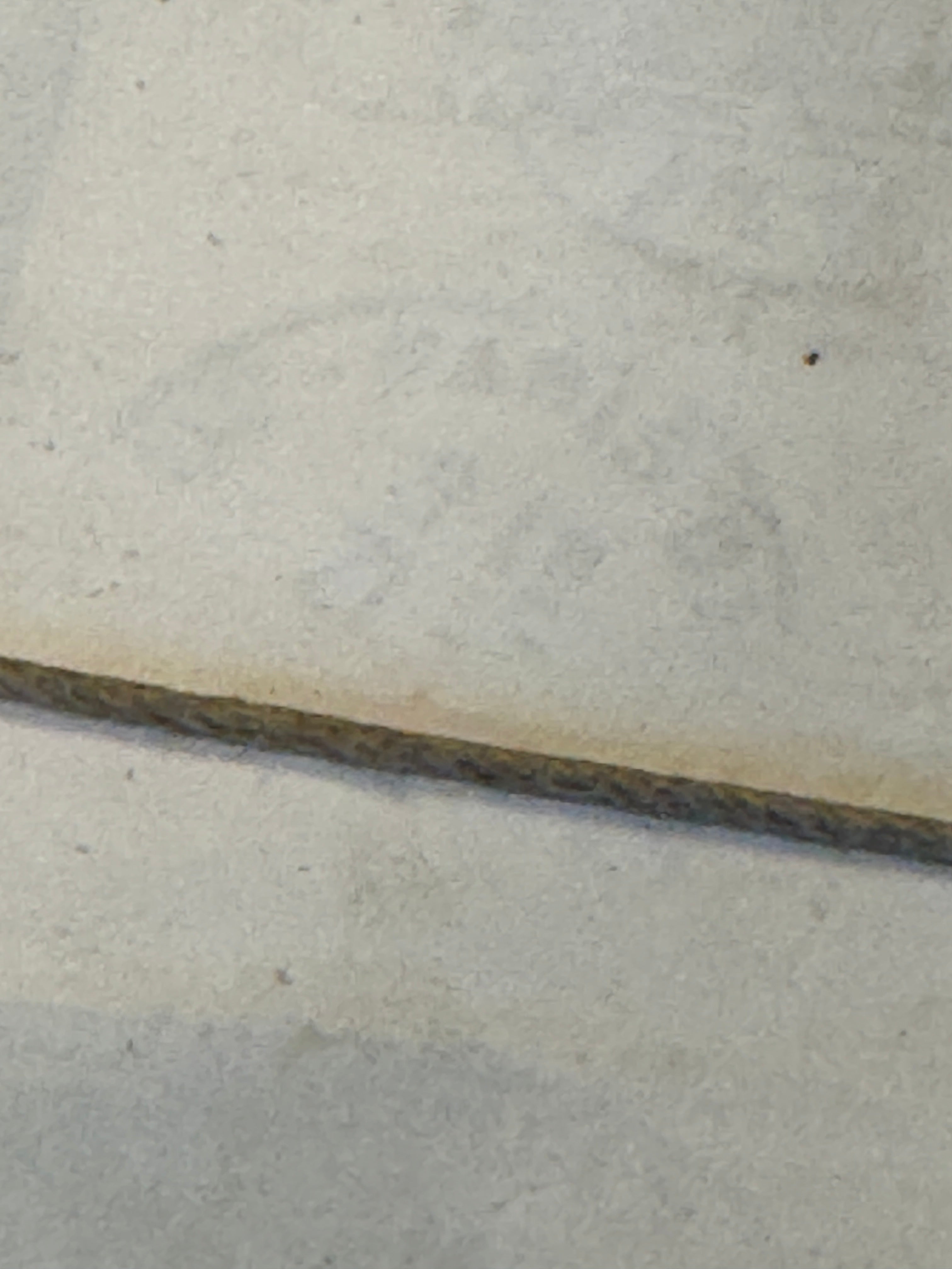 Vintage French Watch/Jewelry Makers Box