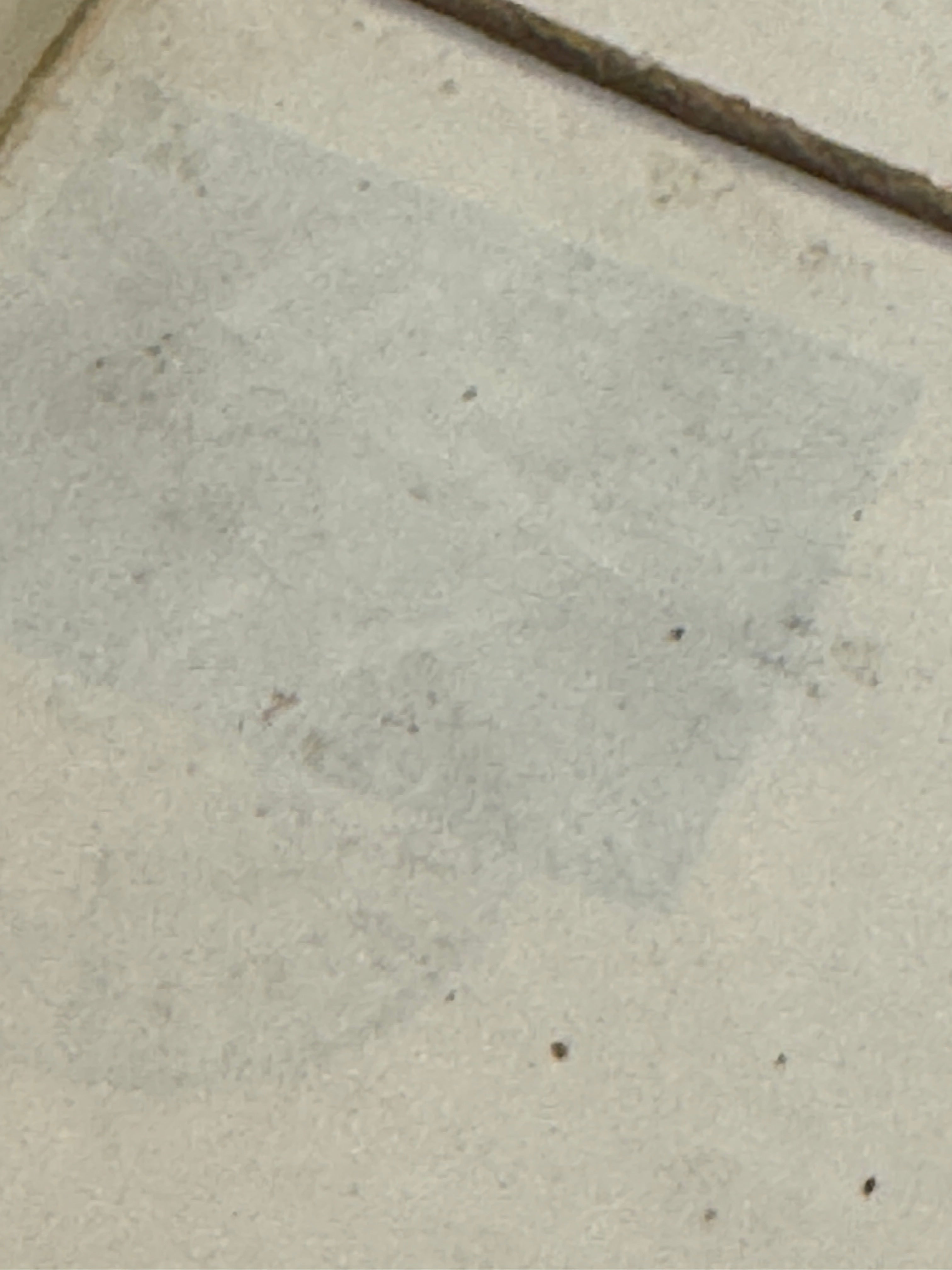 Vintage French Watch/Jewelry Makers Box