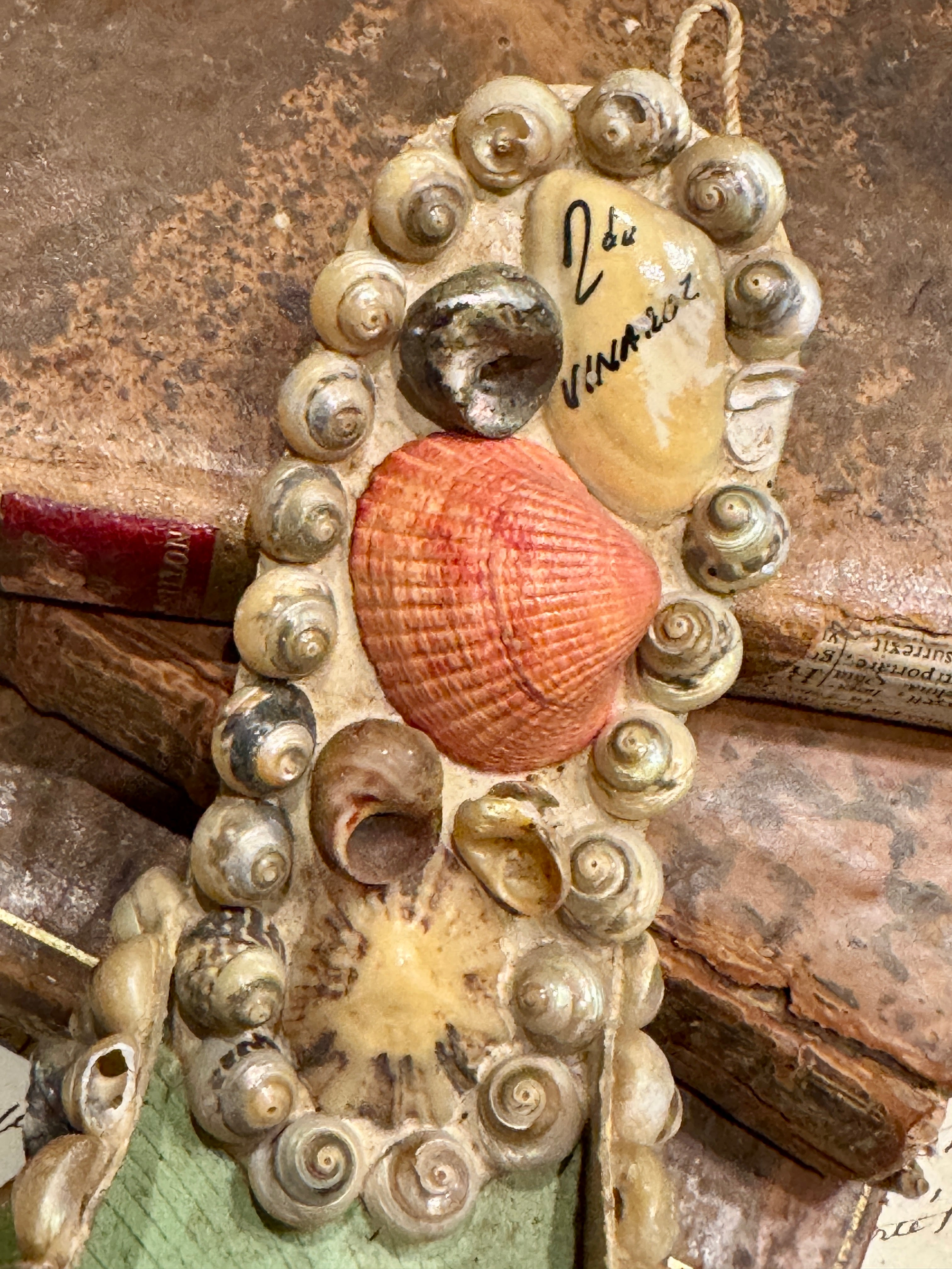 Antique Seashell Souvenir - Vineroz