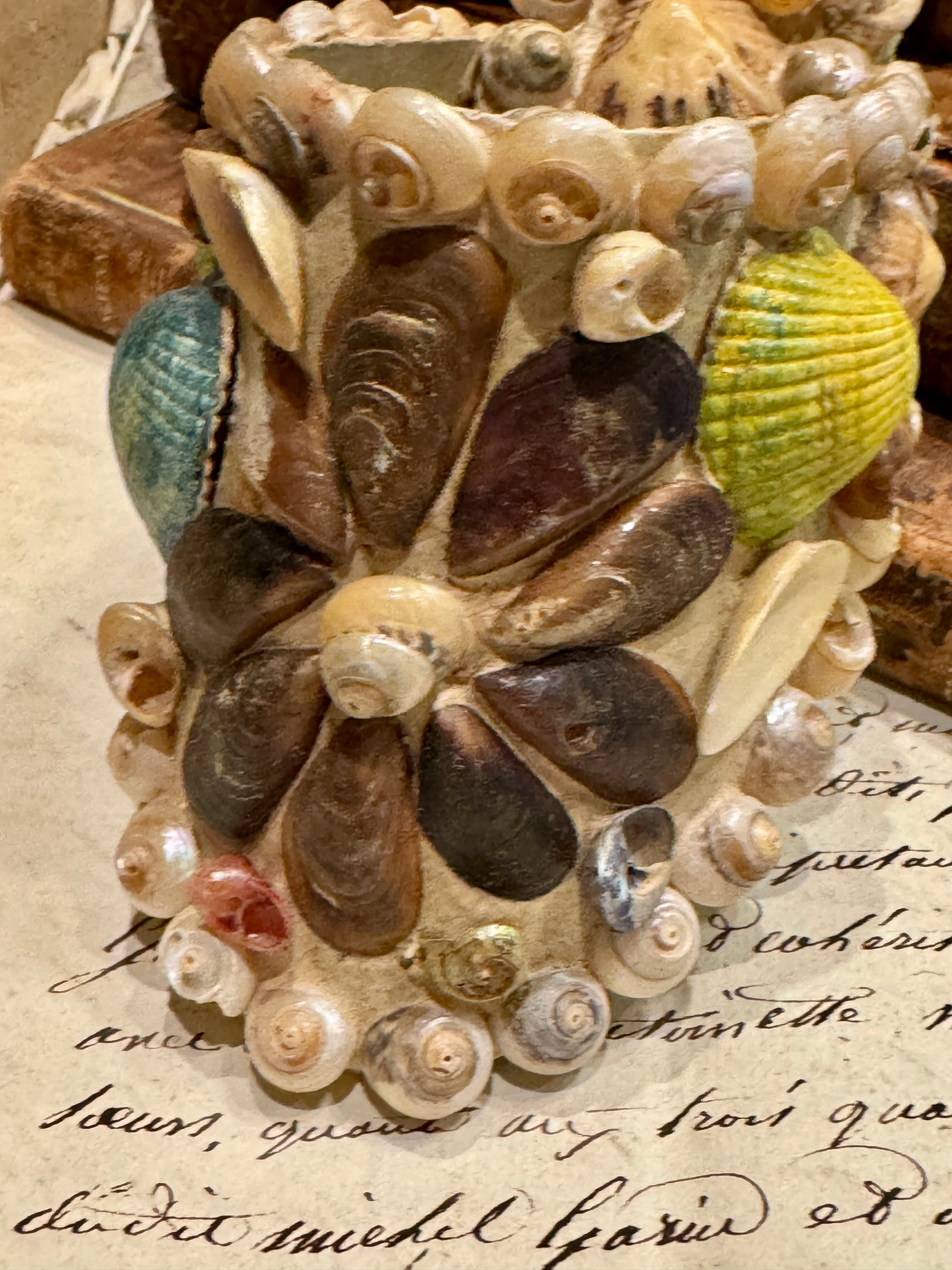 Antique Seashell Souvenir - Vineroz