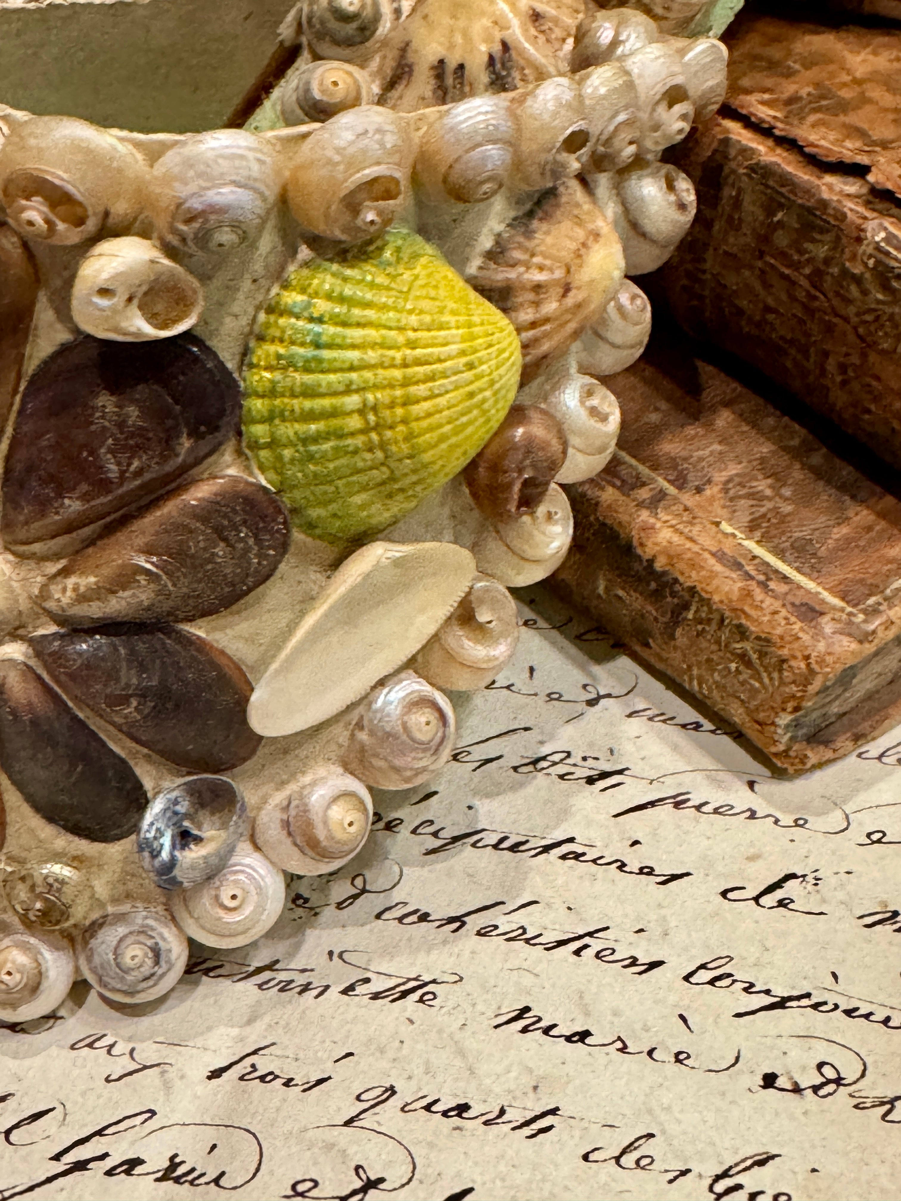 Antique Seashell Souvenir - Vineroz