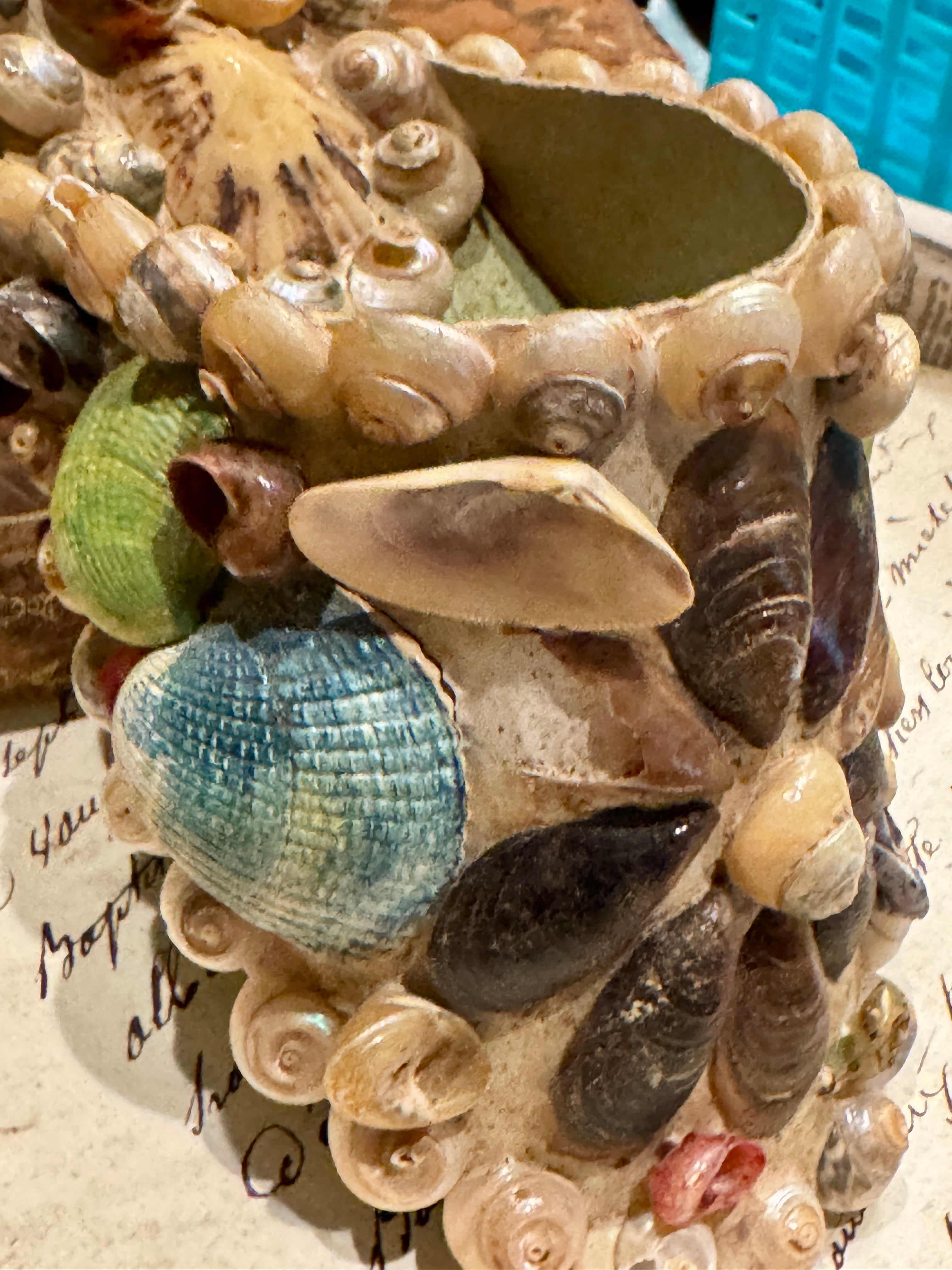 Antique Seashell Souvenir - Vineroz