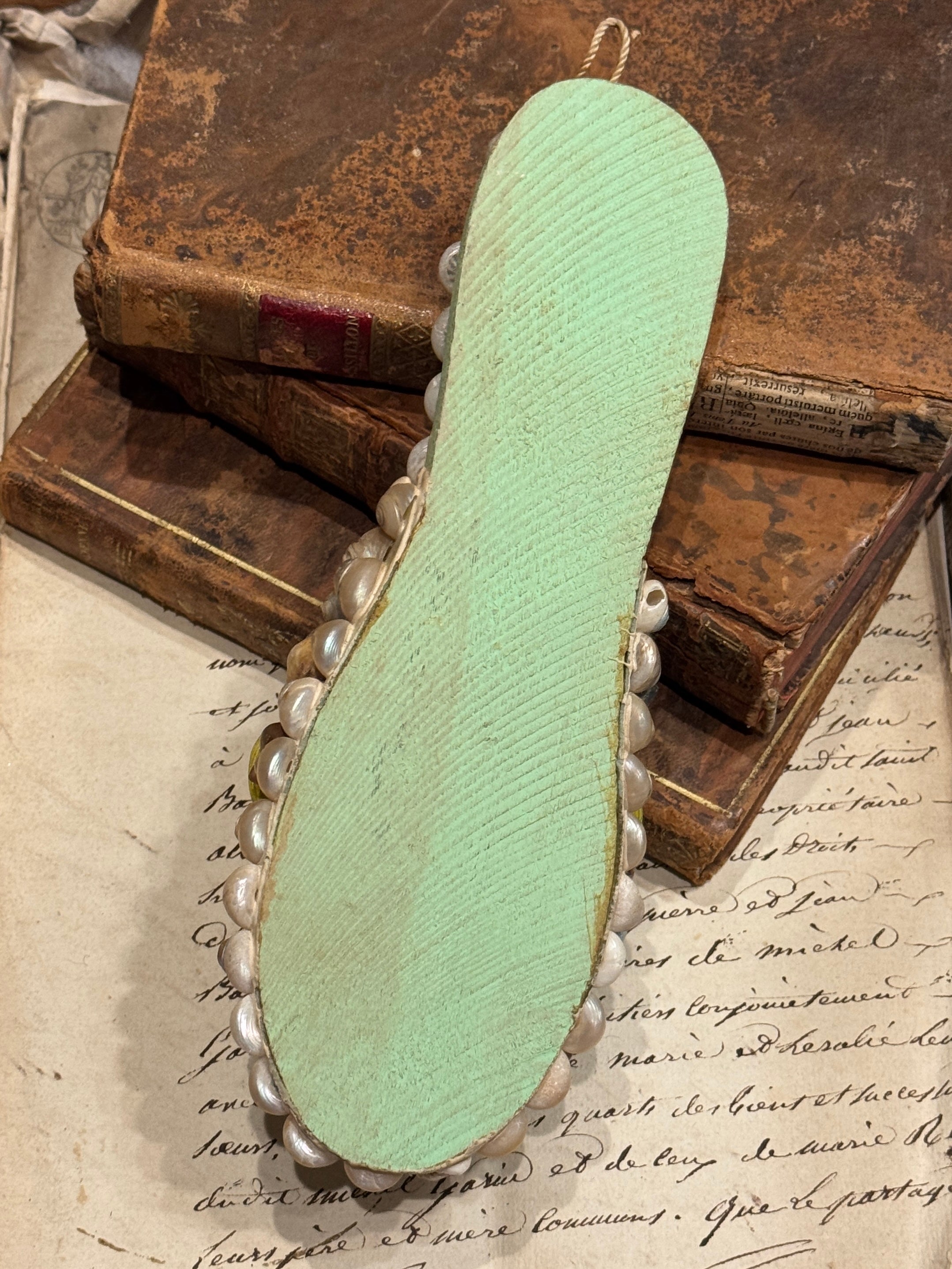 Antique Seashell Souvenir - Vineroz