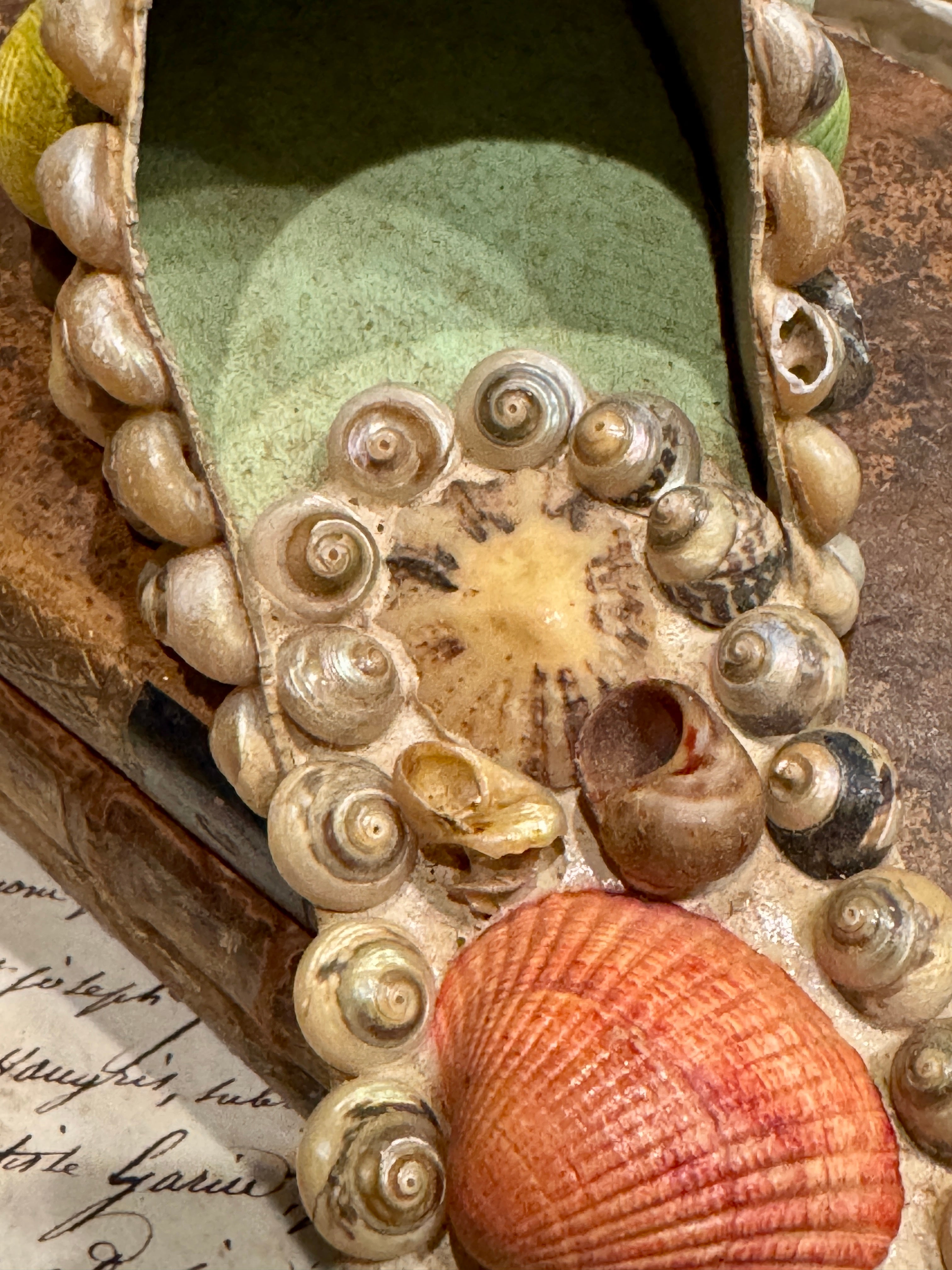 Antique Seashell Souvenir - Vineroz