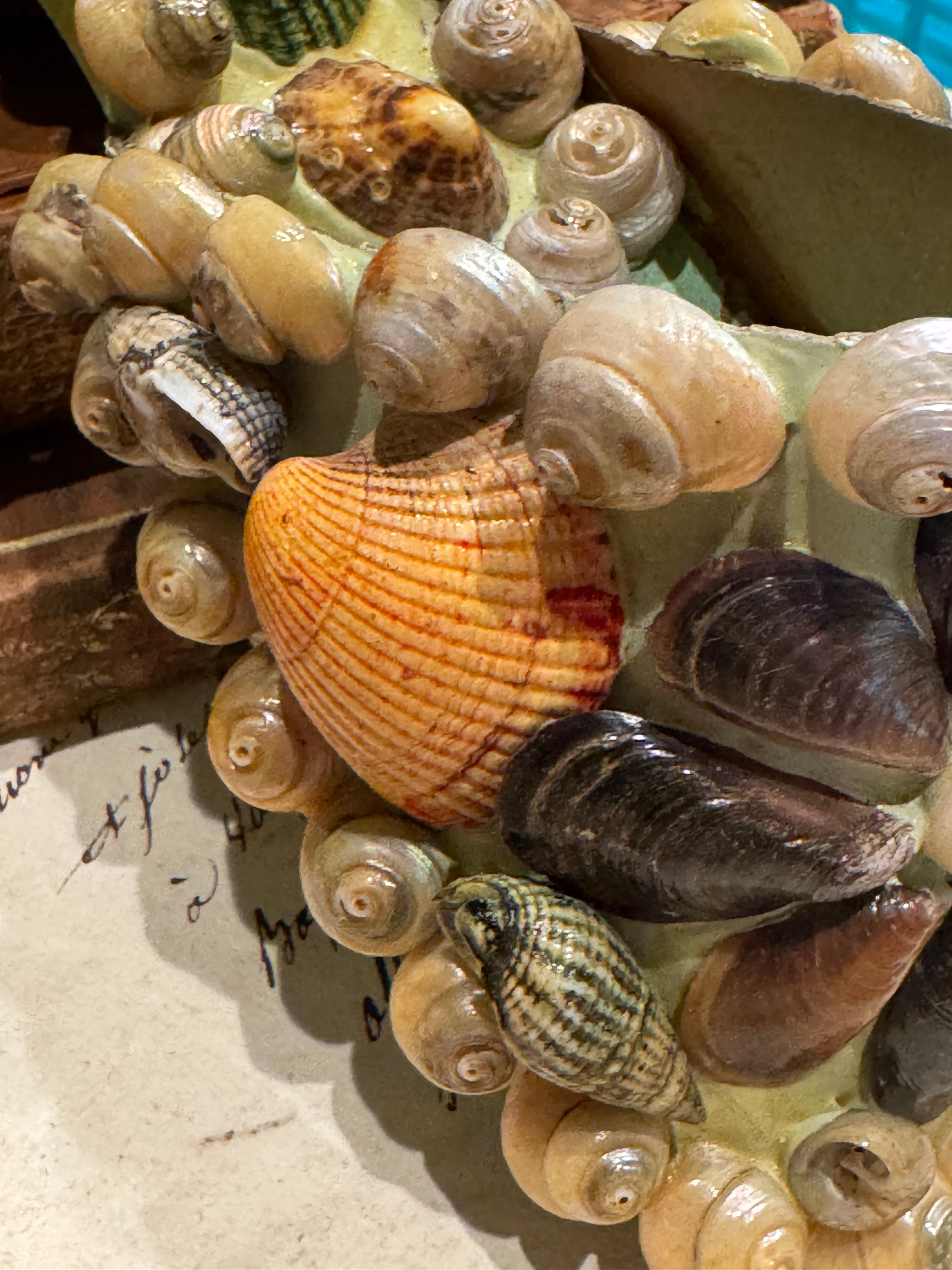 Antique Seashell Souvenir - Castelldefels