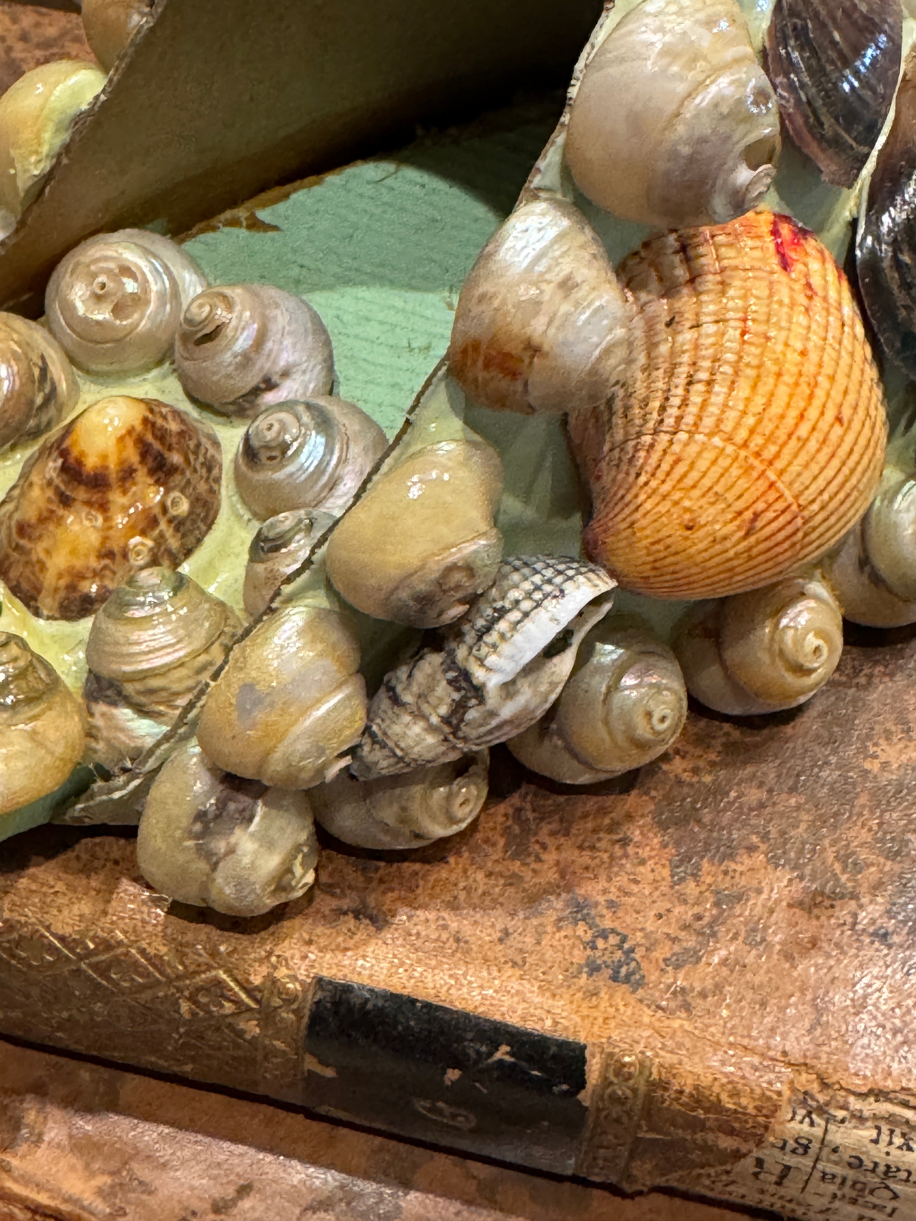 Antique Seashell Souvenir - Castelldefels