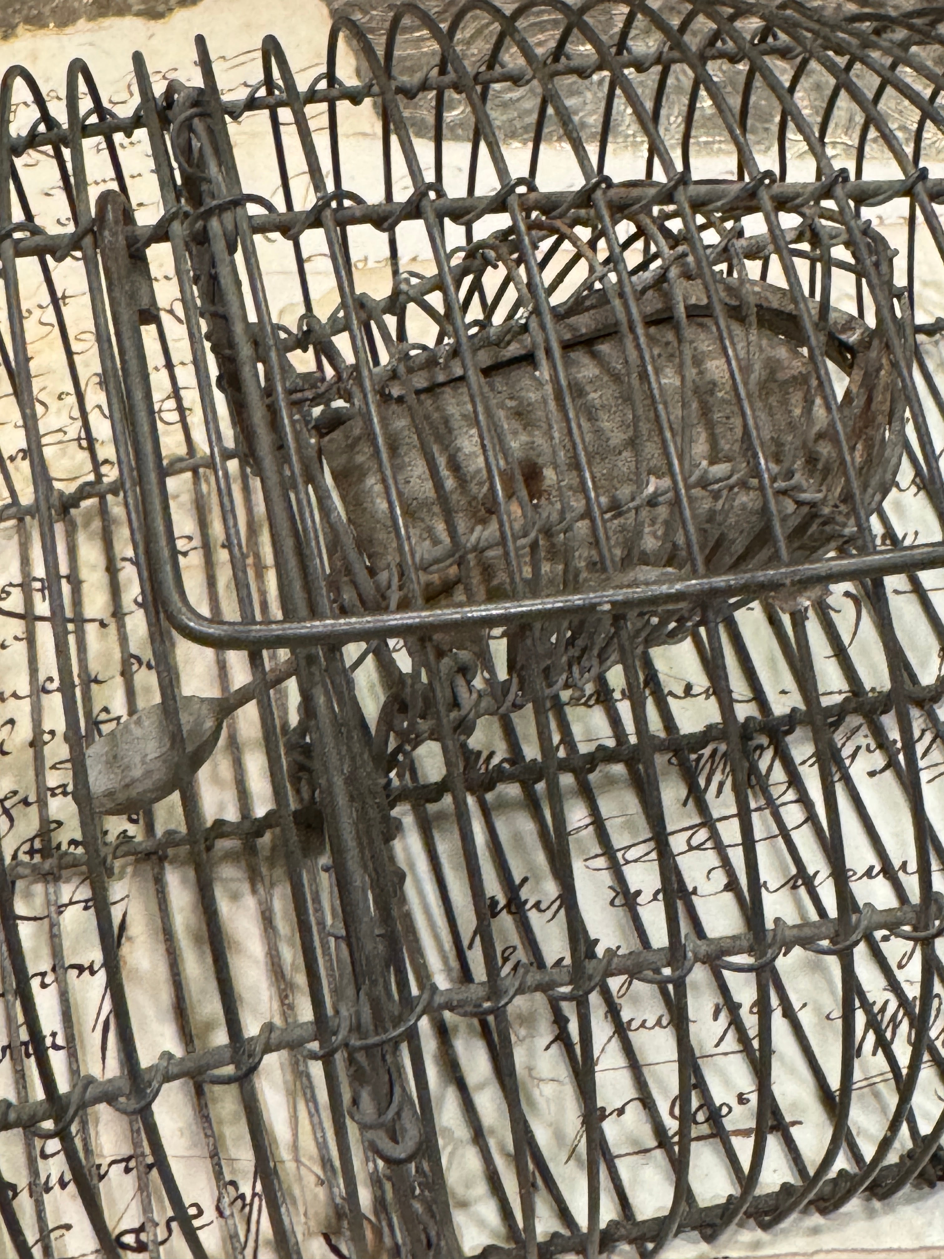 Antique French Wire Mouse Trap
