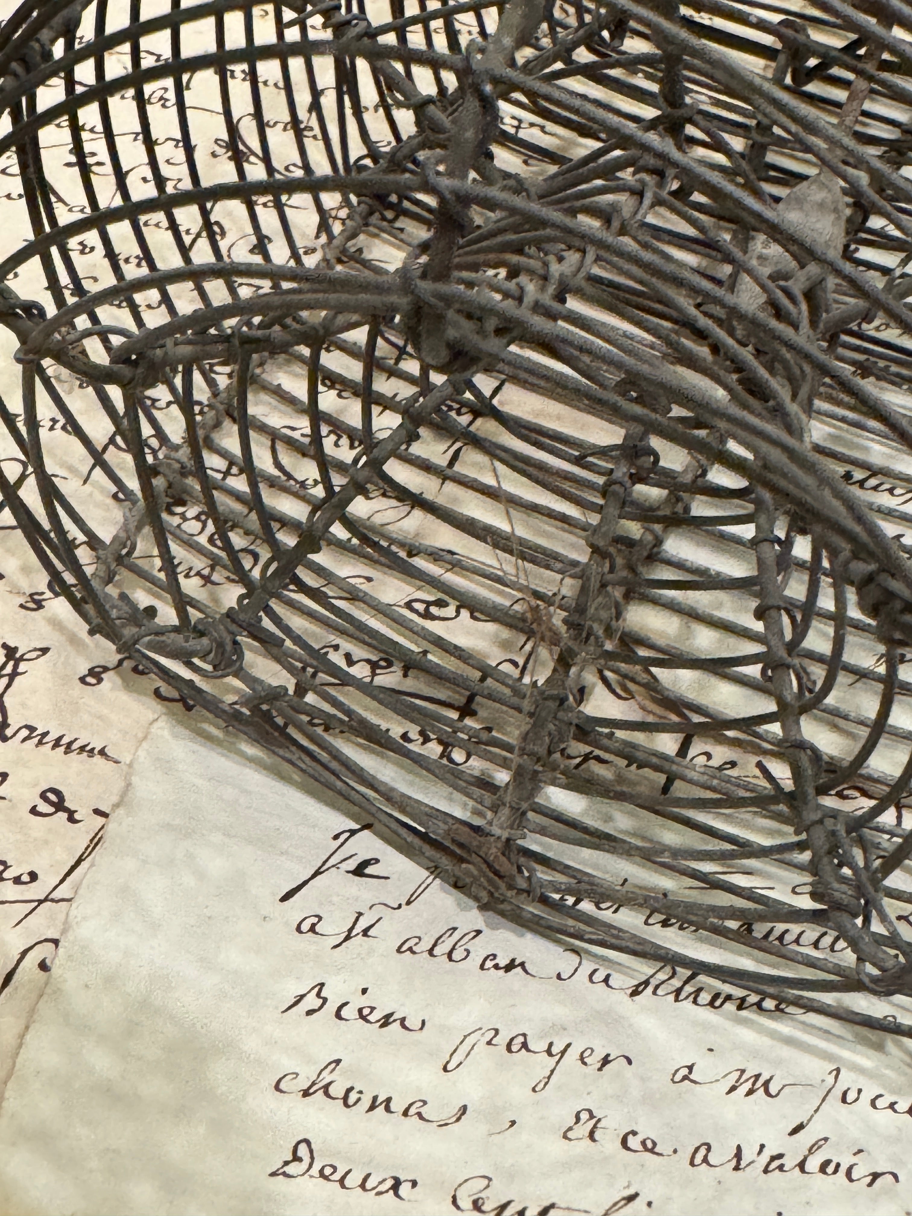 Antique French Wire Mouse Trap