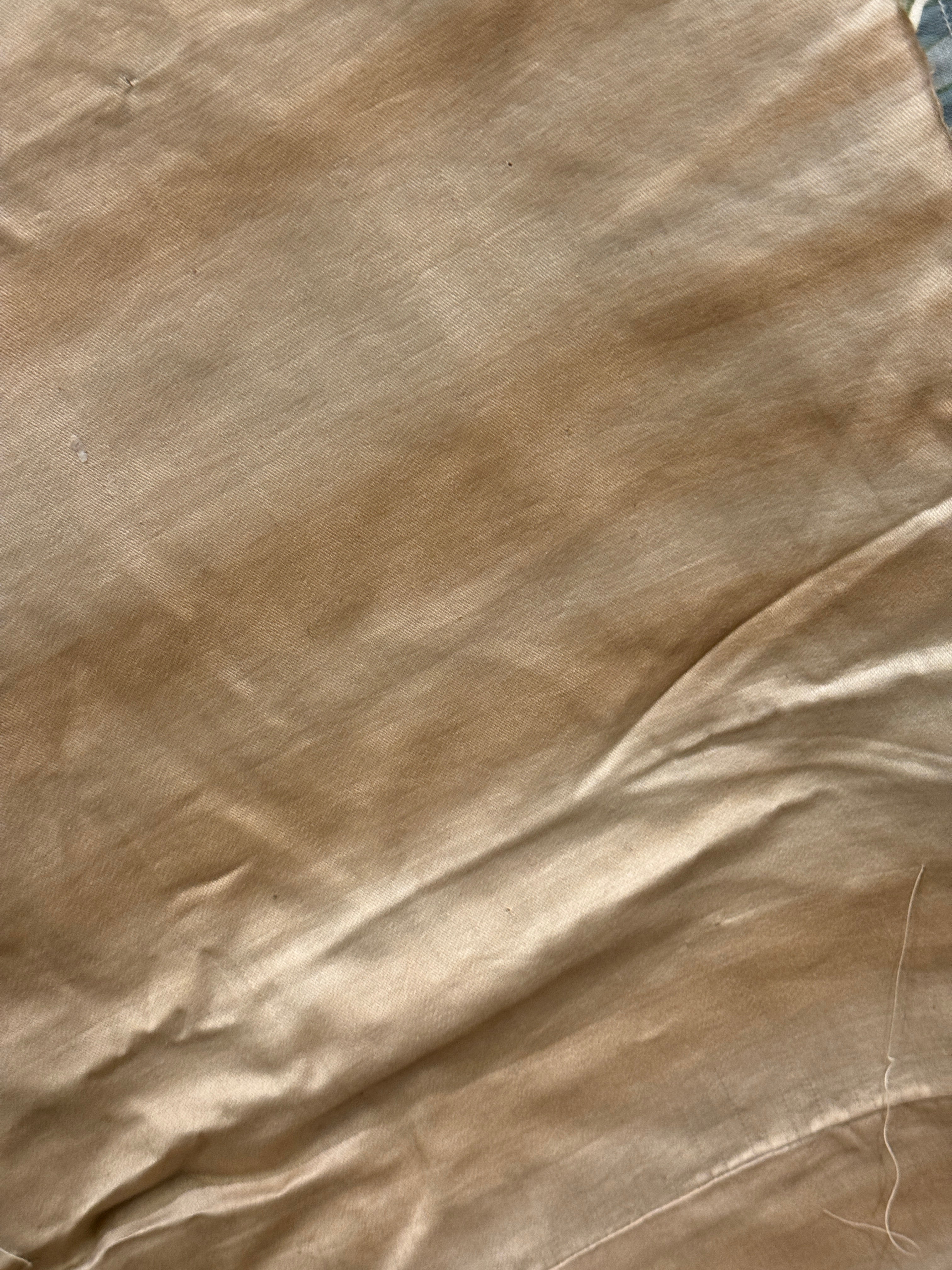 Beautiful Art Nouveau Silk Lined Border *