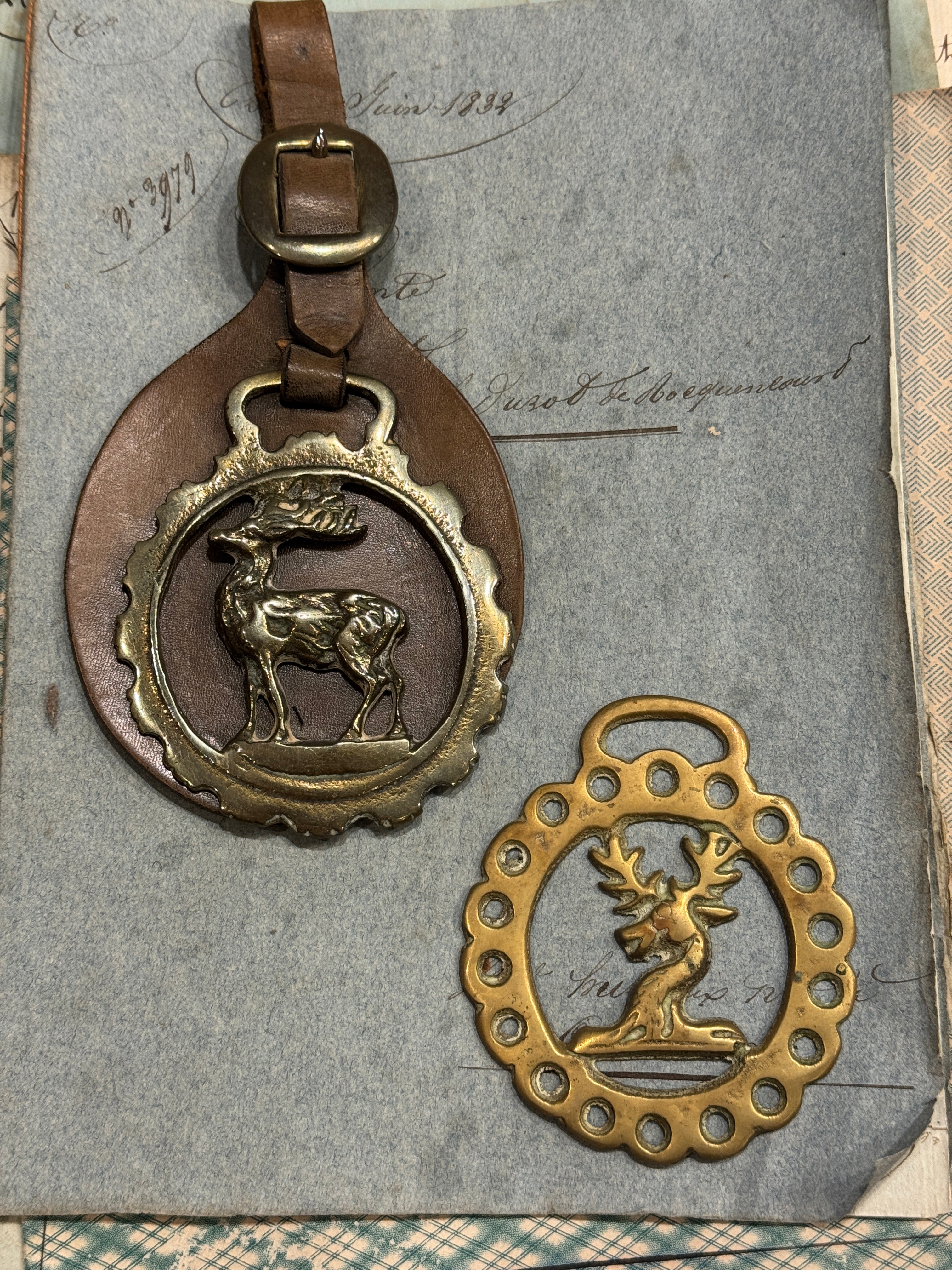 Vintage English Souvenir Horse Brass Deer Medallions