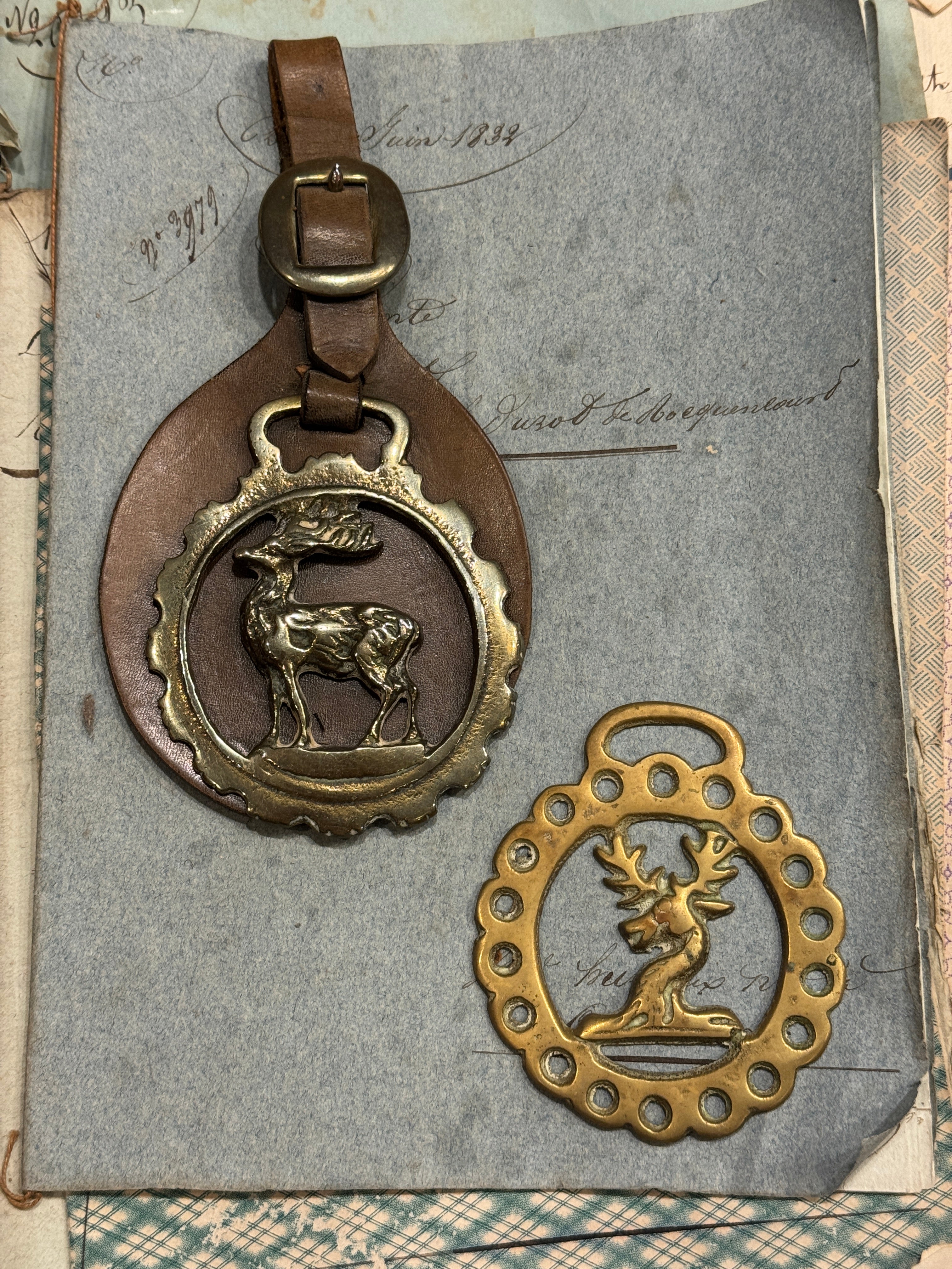 Vintage English Souvenir Horse Brass Deer Medallions