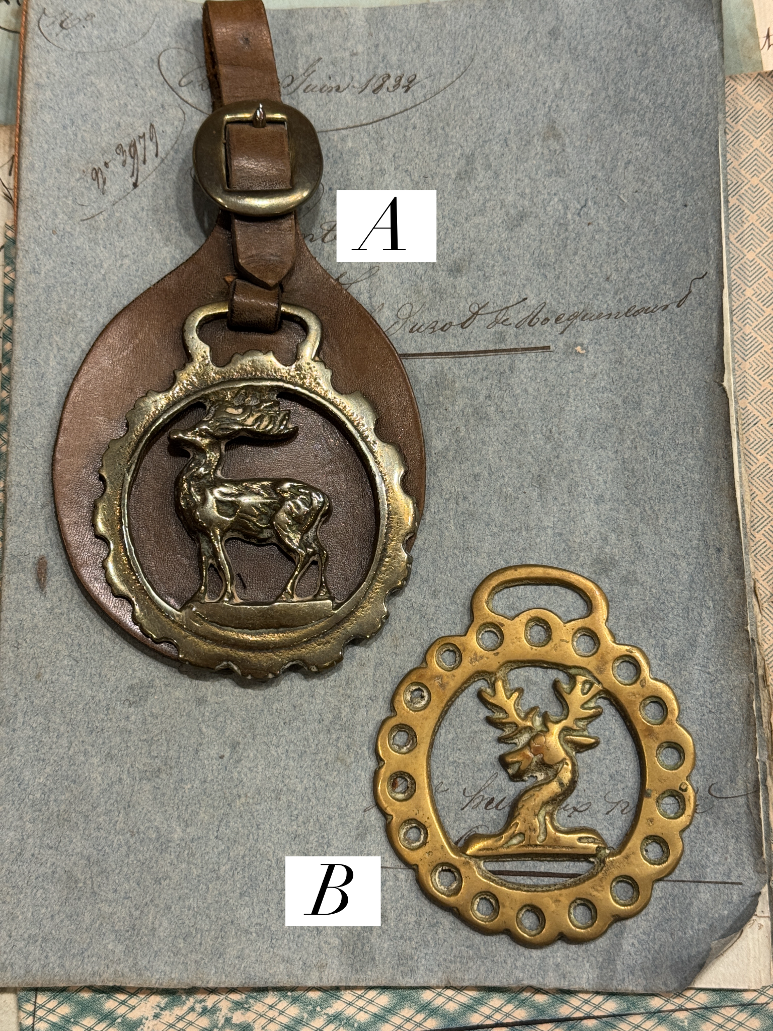 Vintage English Souvenir Horse Brass Deer Medallions