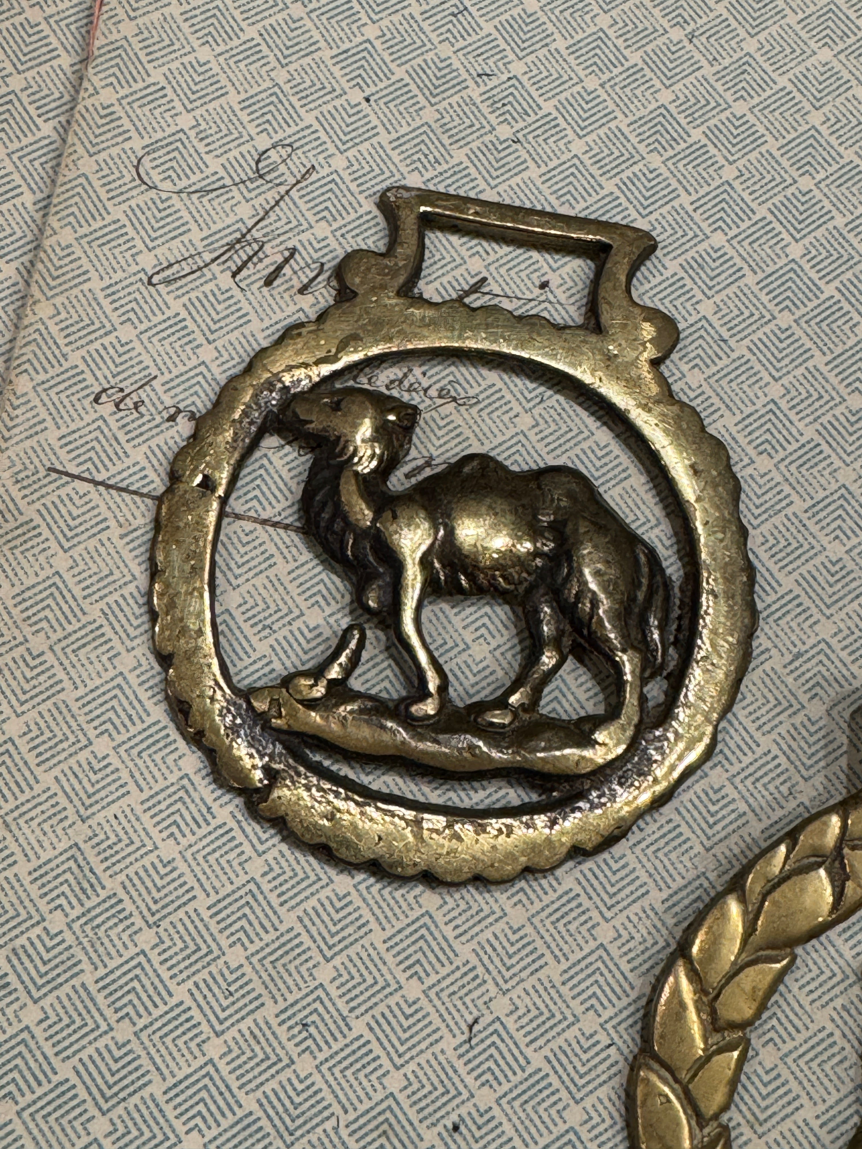 Vintage English Souvenir Horse Brass Camel & Owl Medallions