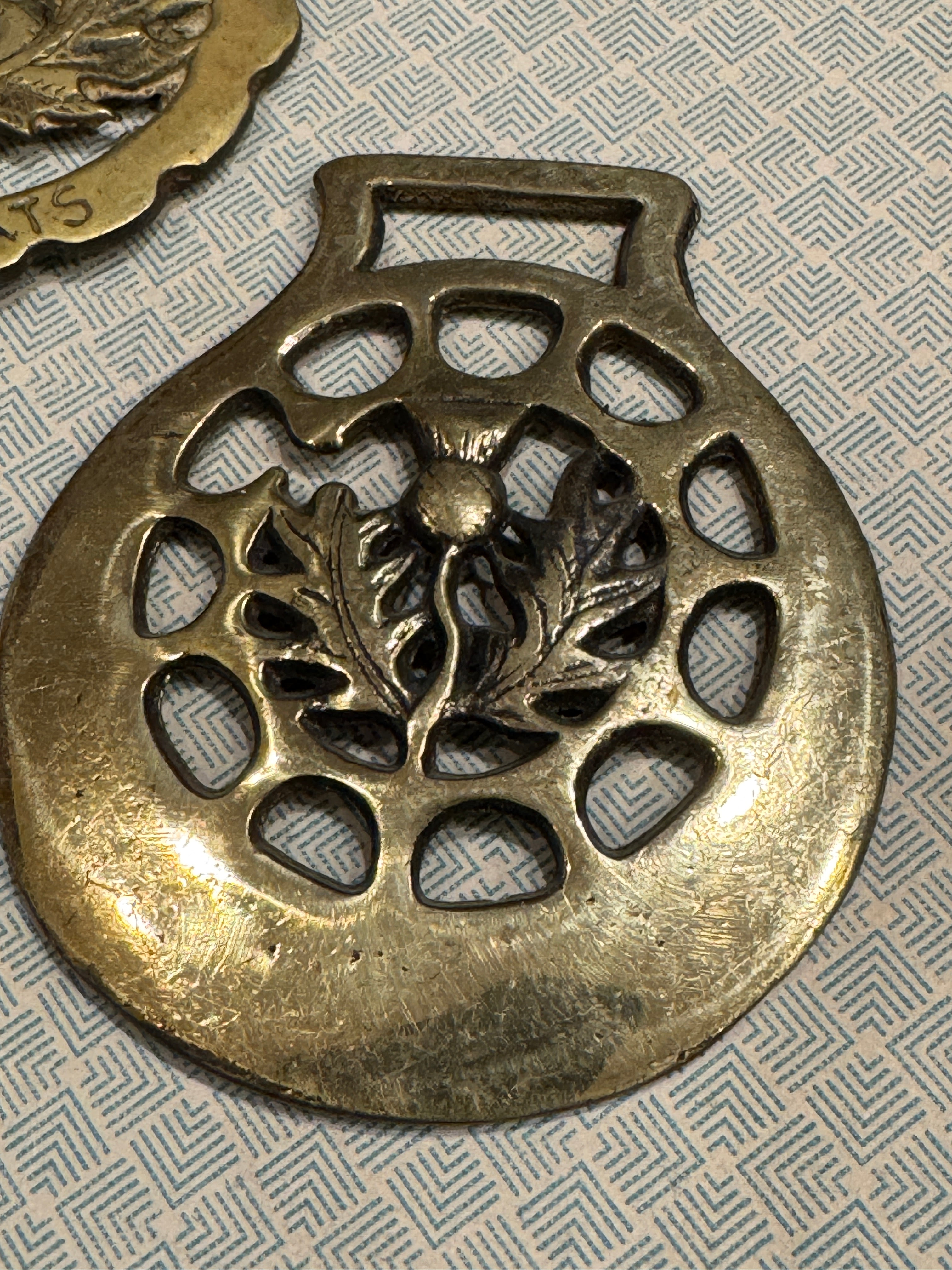 Vintage English Souvenir Horse Brass Thistle Medallions