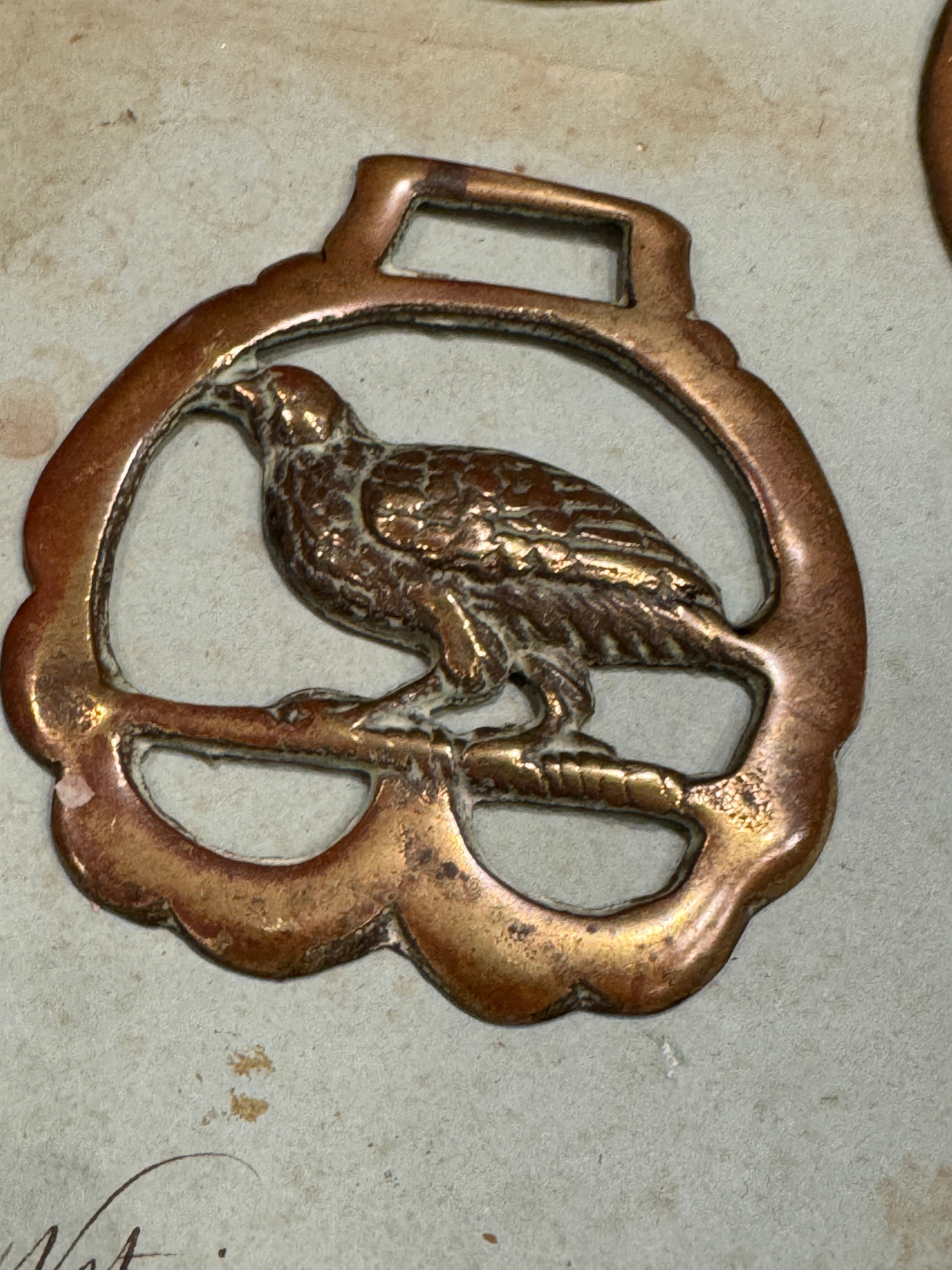 Vintage English Souvenir Horse Brass Bird Medallions