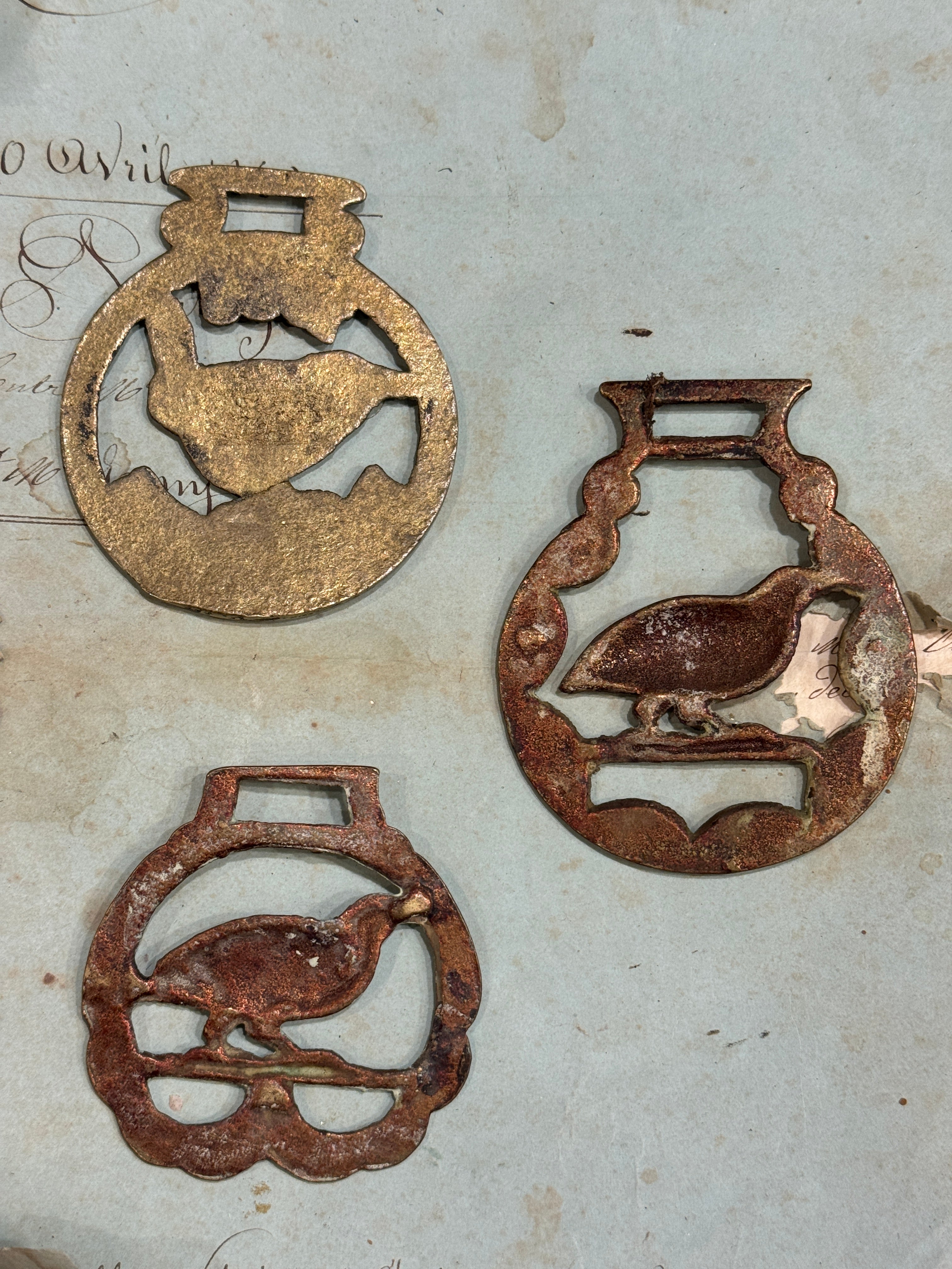 Vintage English Souvenir Horse Brass Bird Medallions