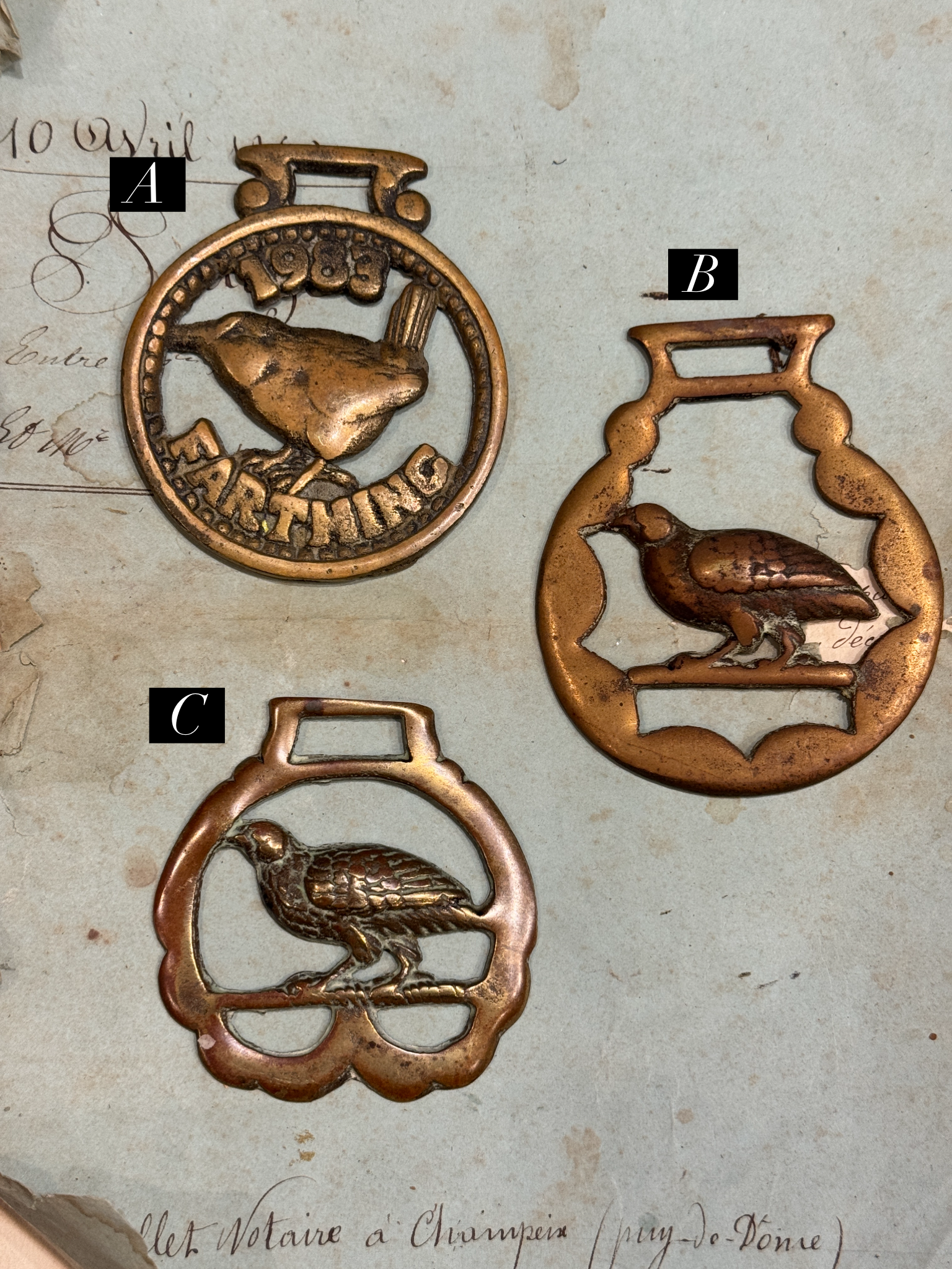 Vintage English Souvenir Horse Brass Bird Medallions