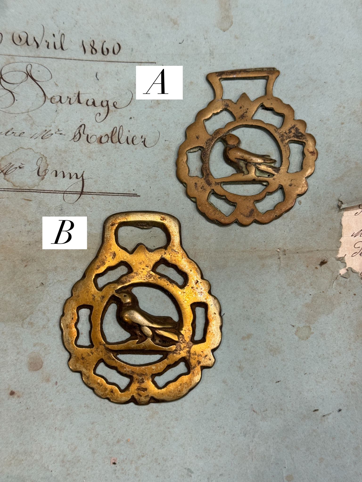 Vintage English Souvenir Horse Brass Birds Medallions