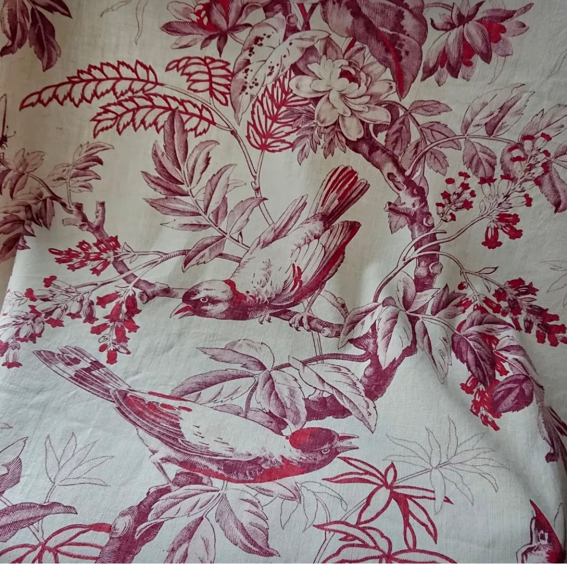19th-Century French Printed Bird & Butterfly Cotton *