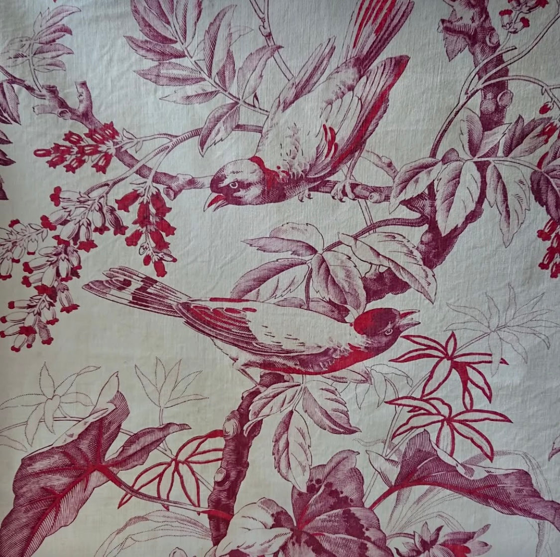 19th-Century French Printed Bird & Butterfly Cotton *
